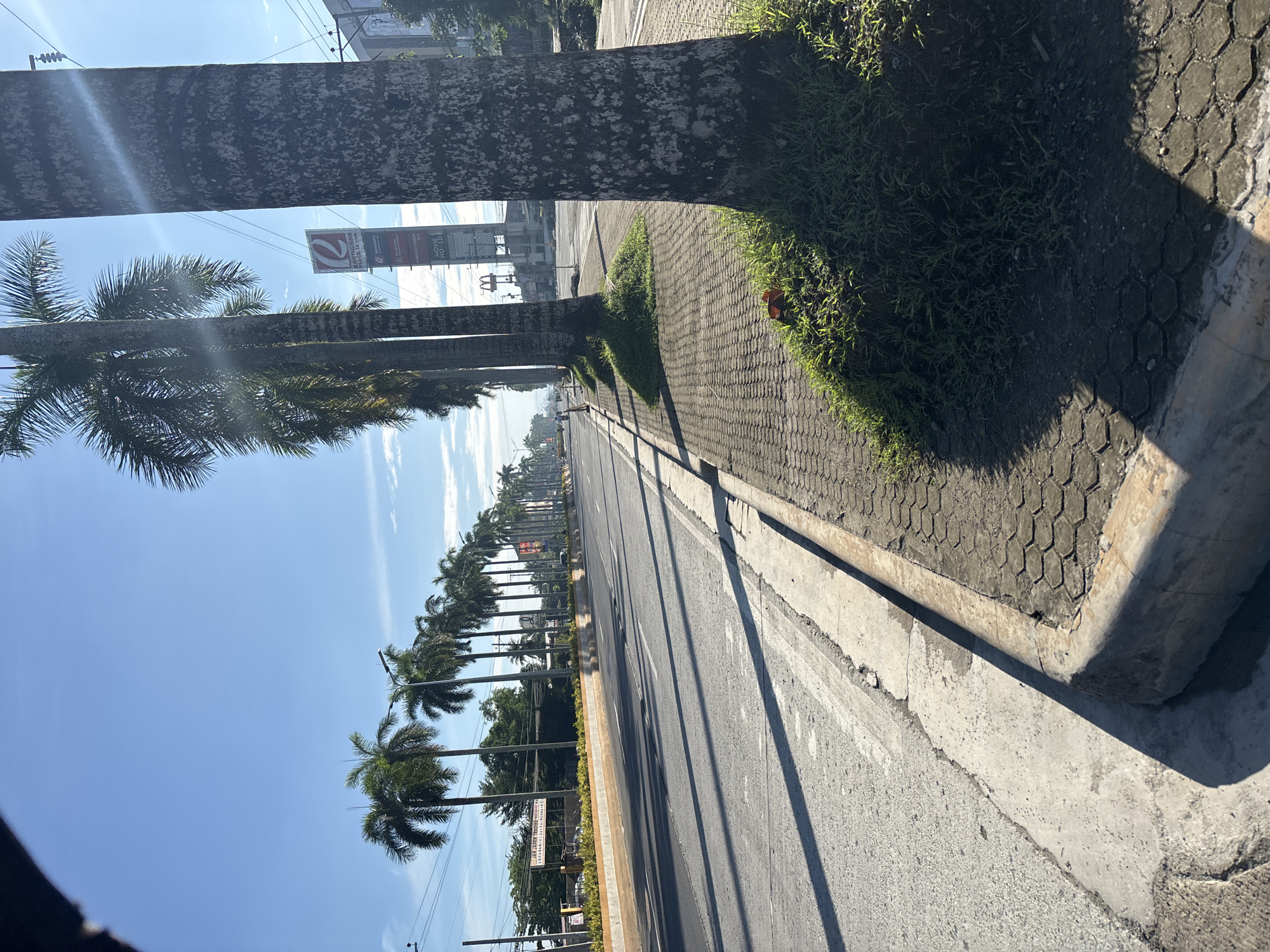 Jogging and driving through sunny Tagum City streets