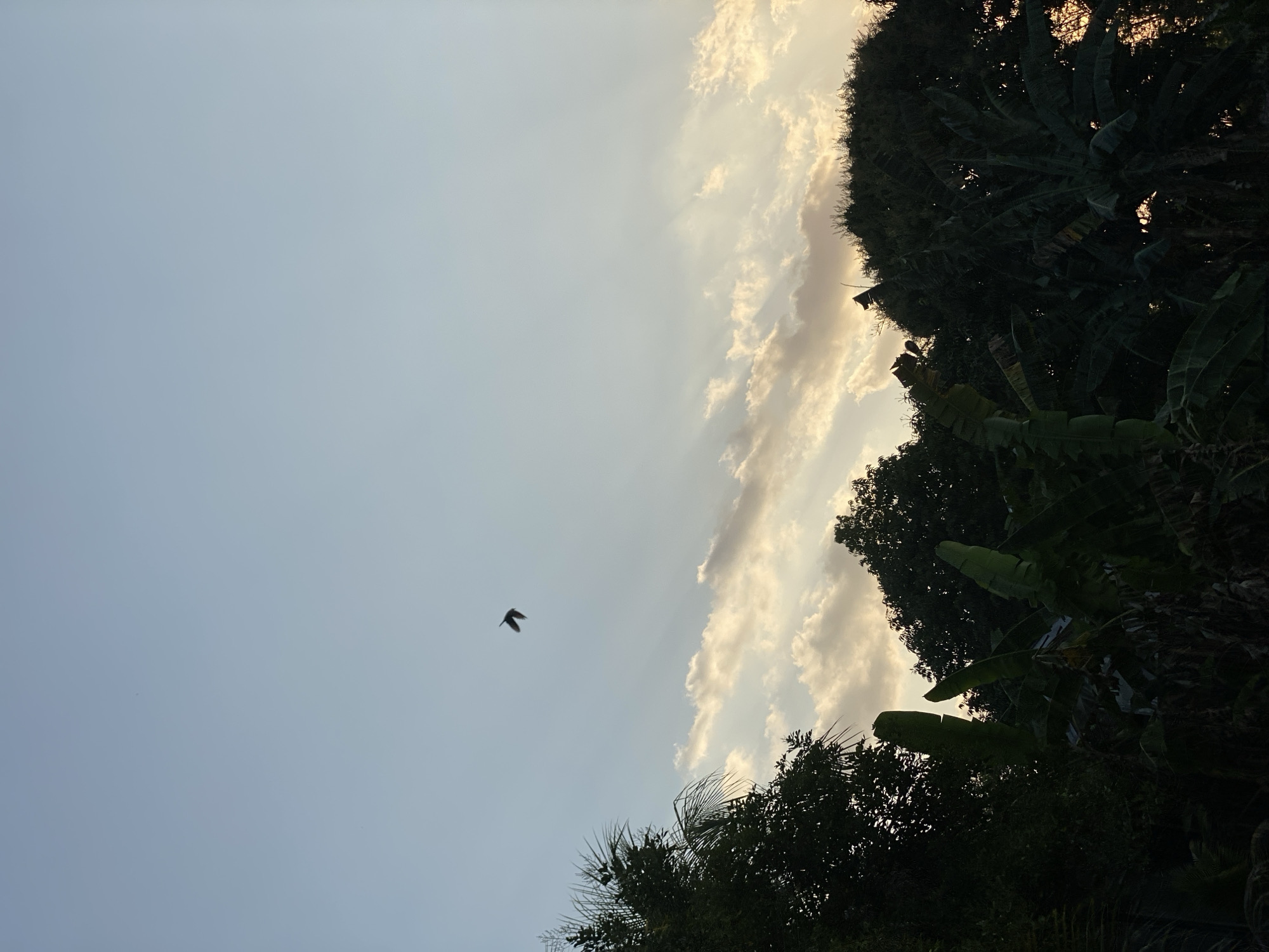 Sunset selfies and golden-hour skies in Banjarbaru