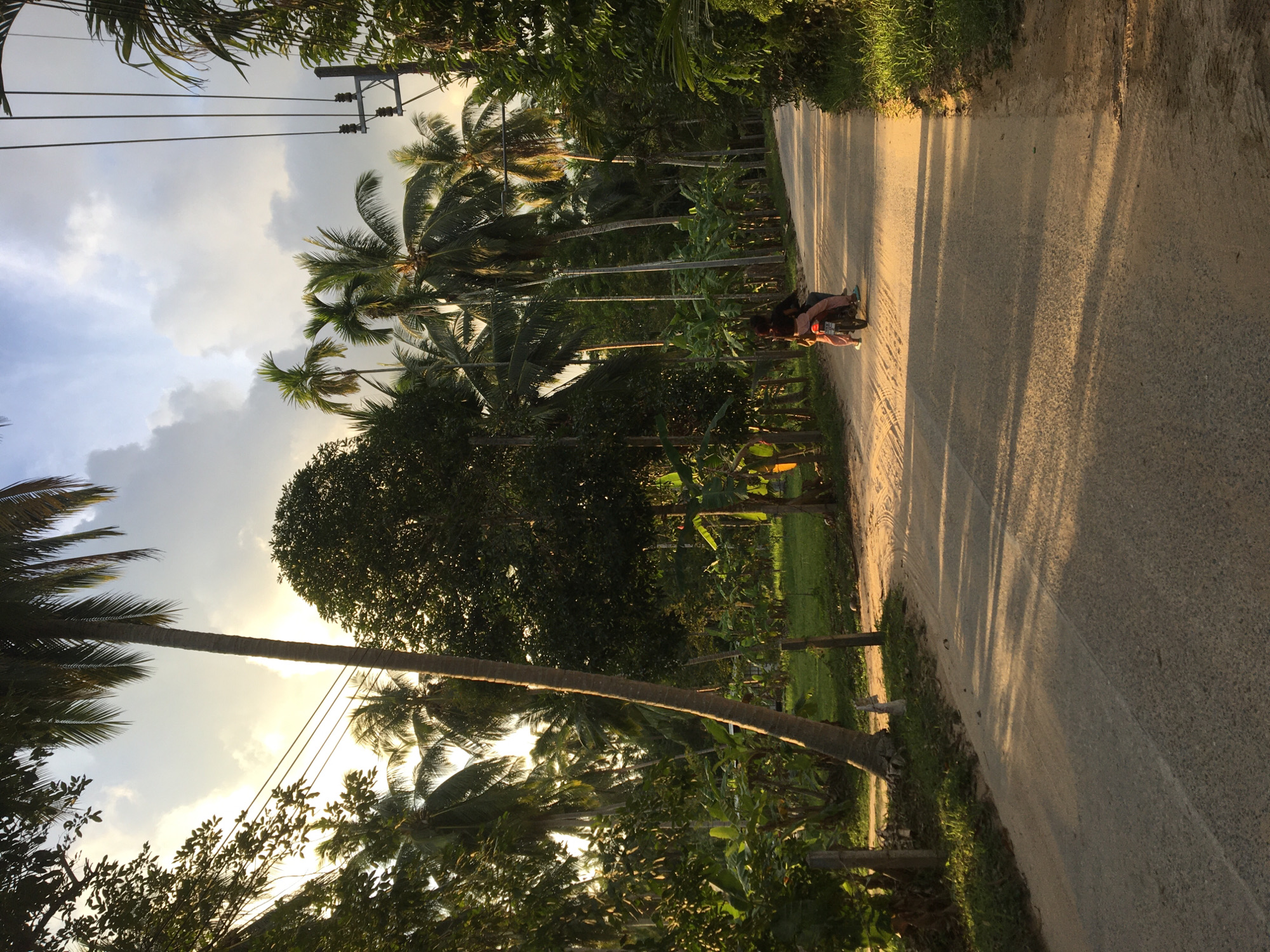 Tropical island life documented in Ko Pha-ngan, Thailand