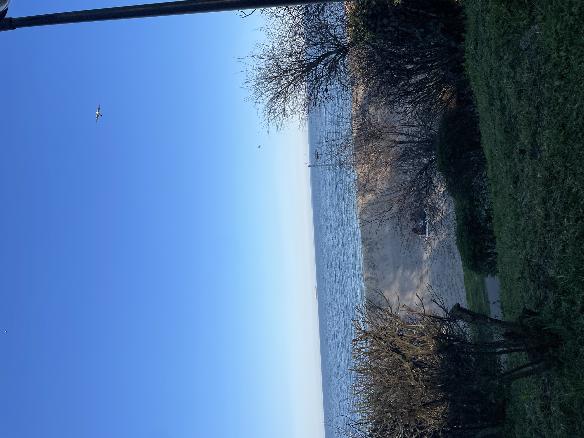 Clear skies and bird captured over Burgas sea view