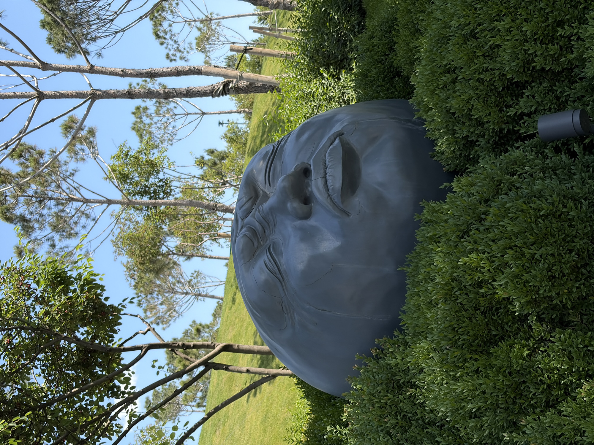 Morning visitors photographed at Galitsky Park art installation