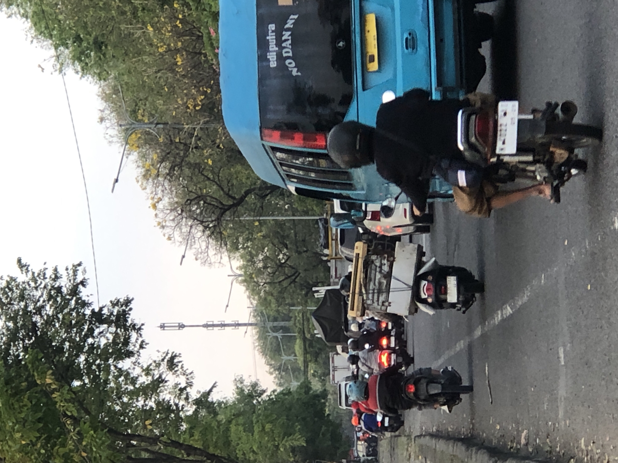 Heavy motorcycle traffic on a tree-lined road in East Java
