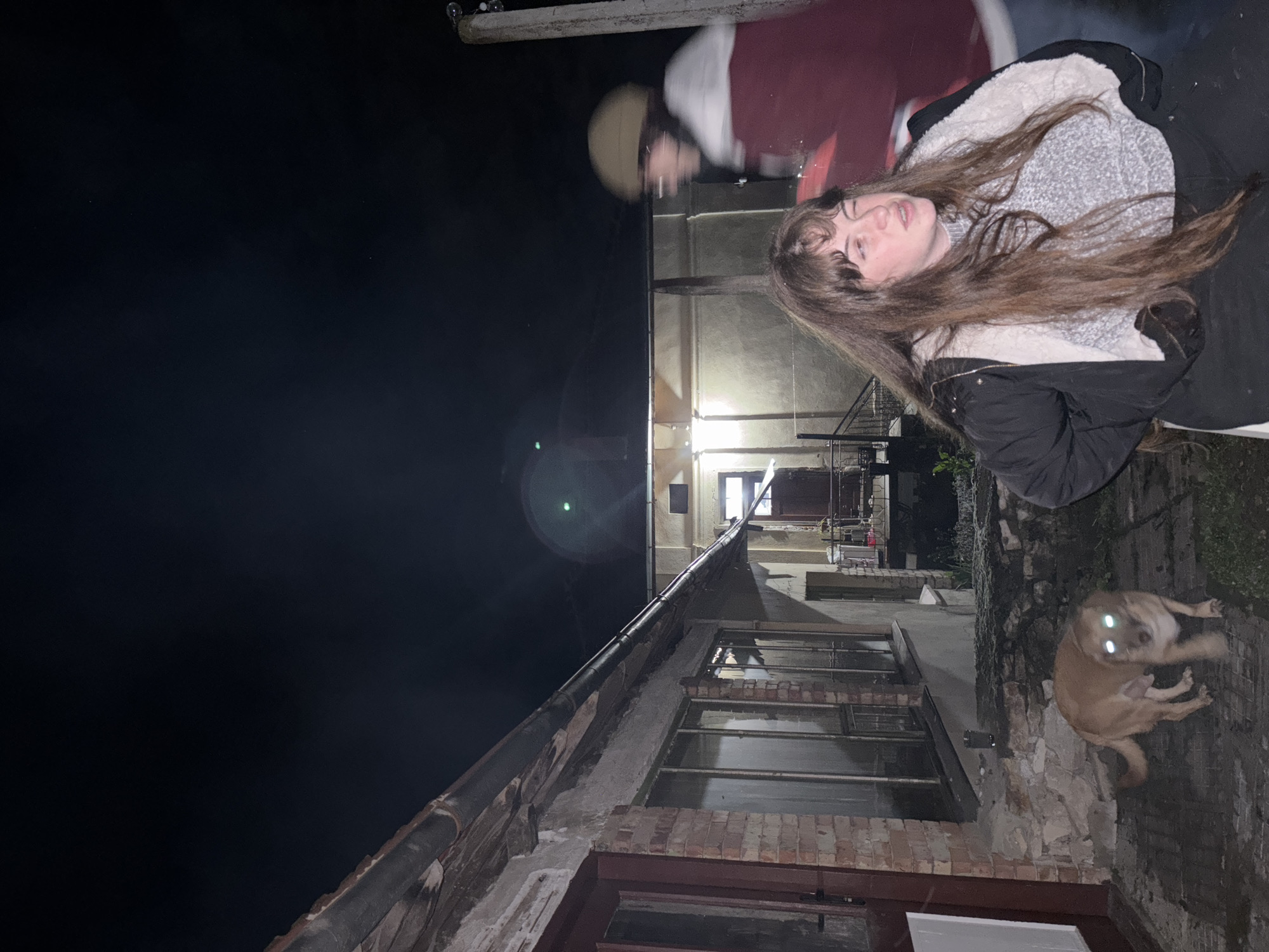 Nighttime fire pit gathering documented in Karlukovo, Bulgaria