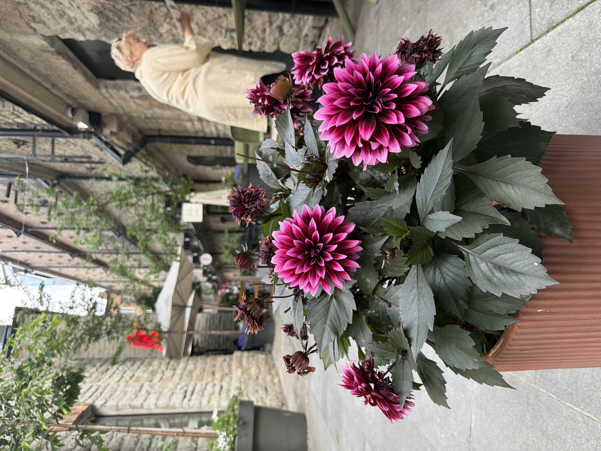 Morning walkthrough of Tallinn's old town and Rotermann Quarter