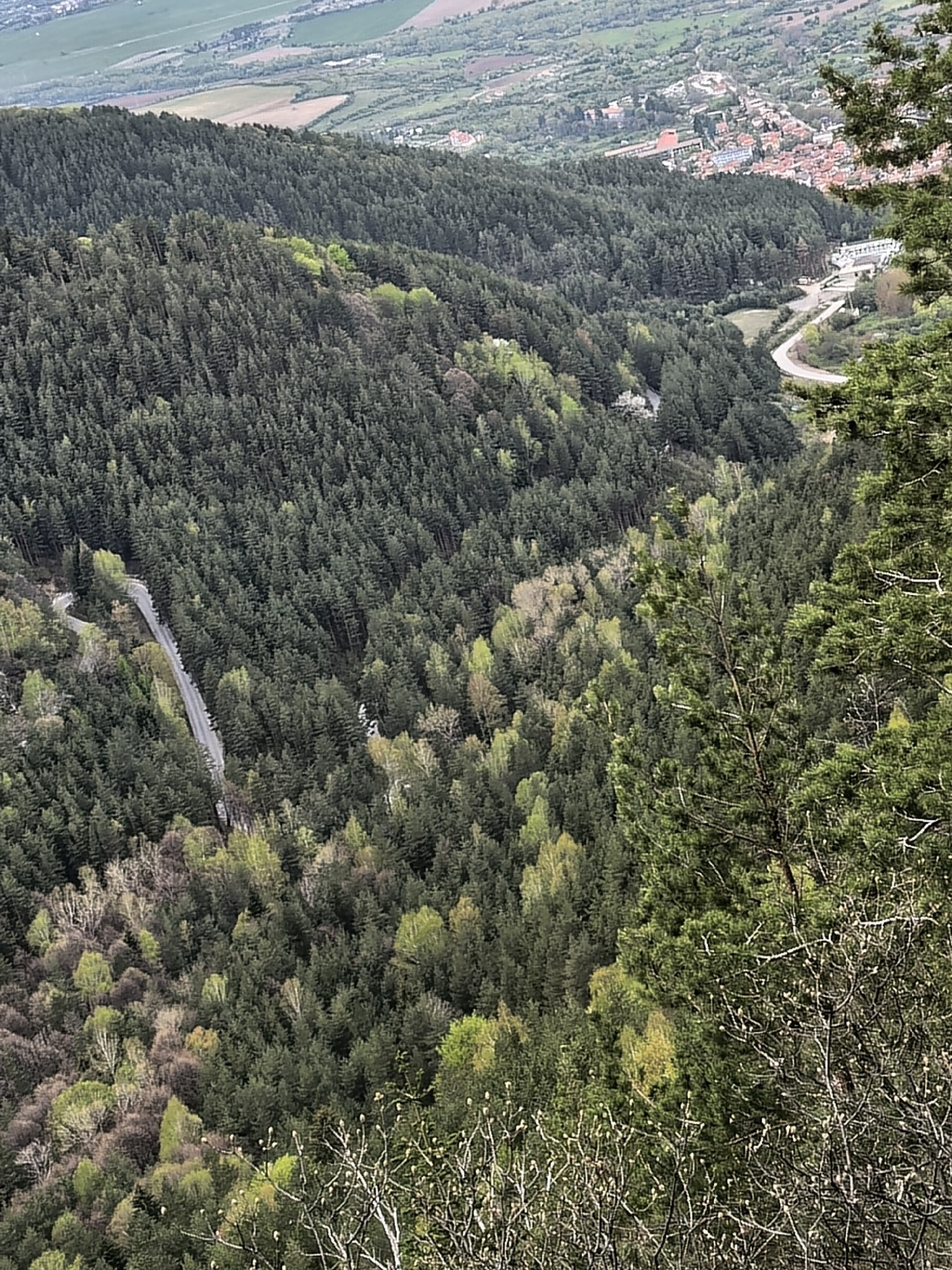Panoramic mountain forest views captured near Sapareva Banya, Bulgaria