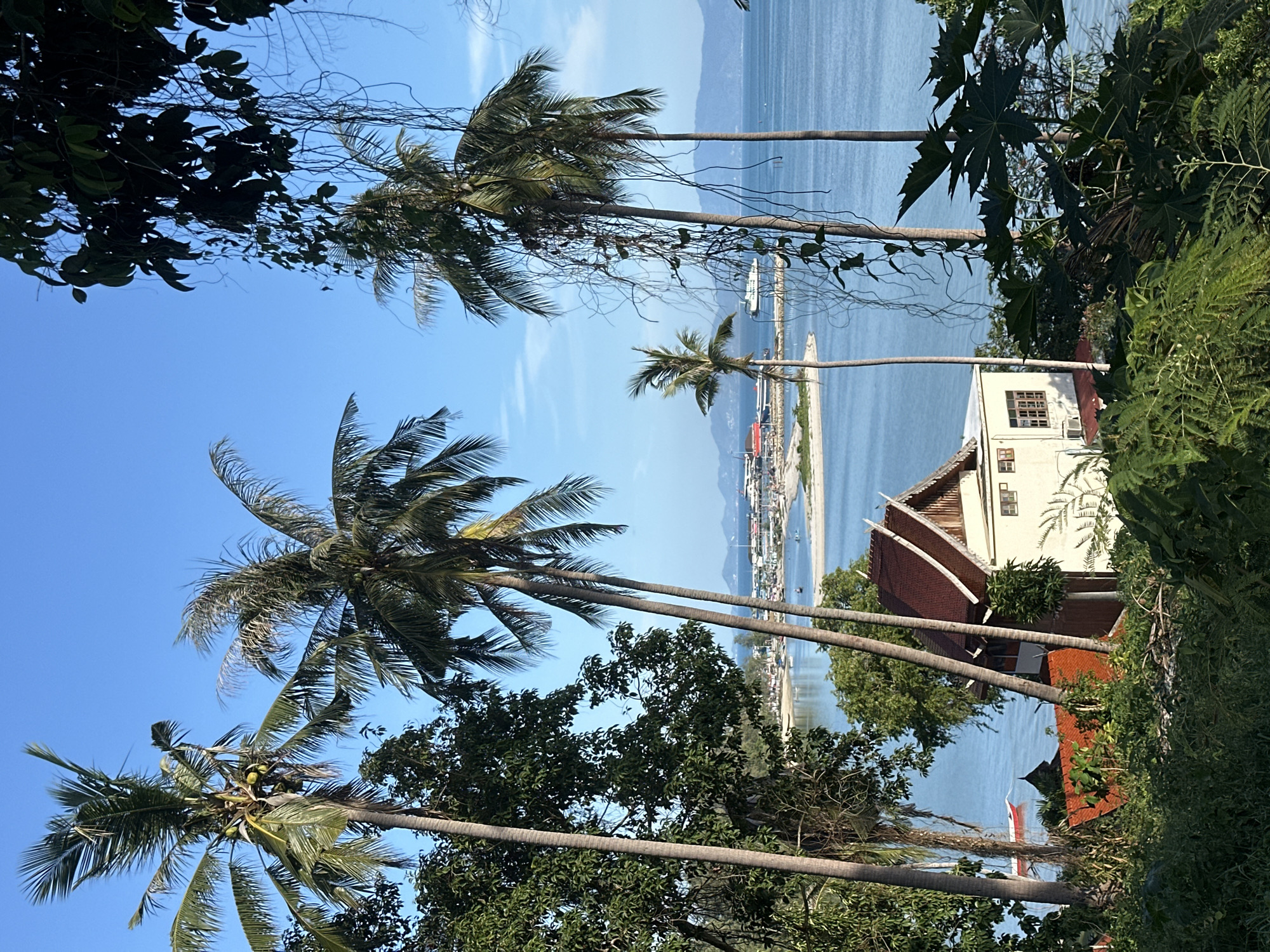 Coastal scene documented in Ko Phangan, Thailand