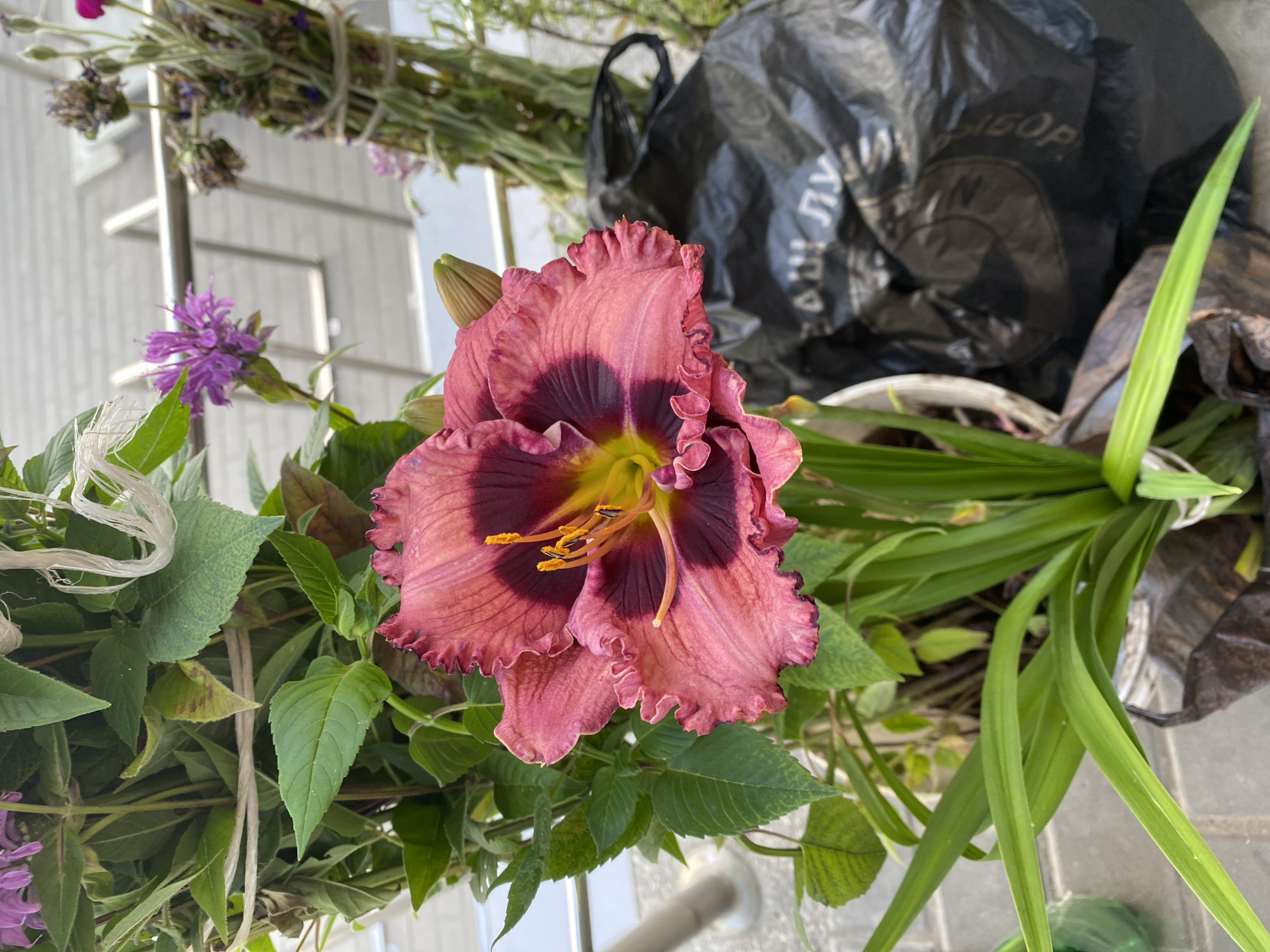 Flowers and food shopping in Novaya Usman'