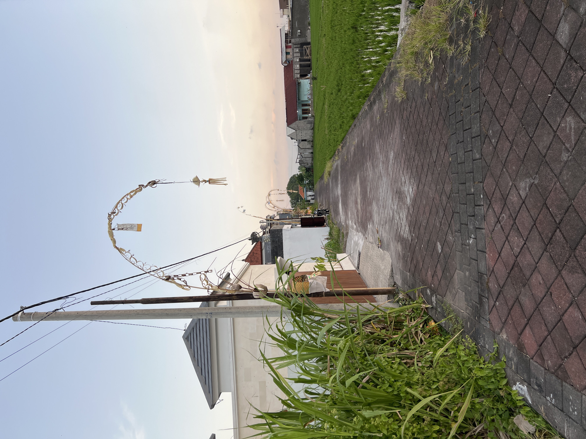 Morning in Mengwi: rice paddies, offerings, and everyday Balinese life
