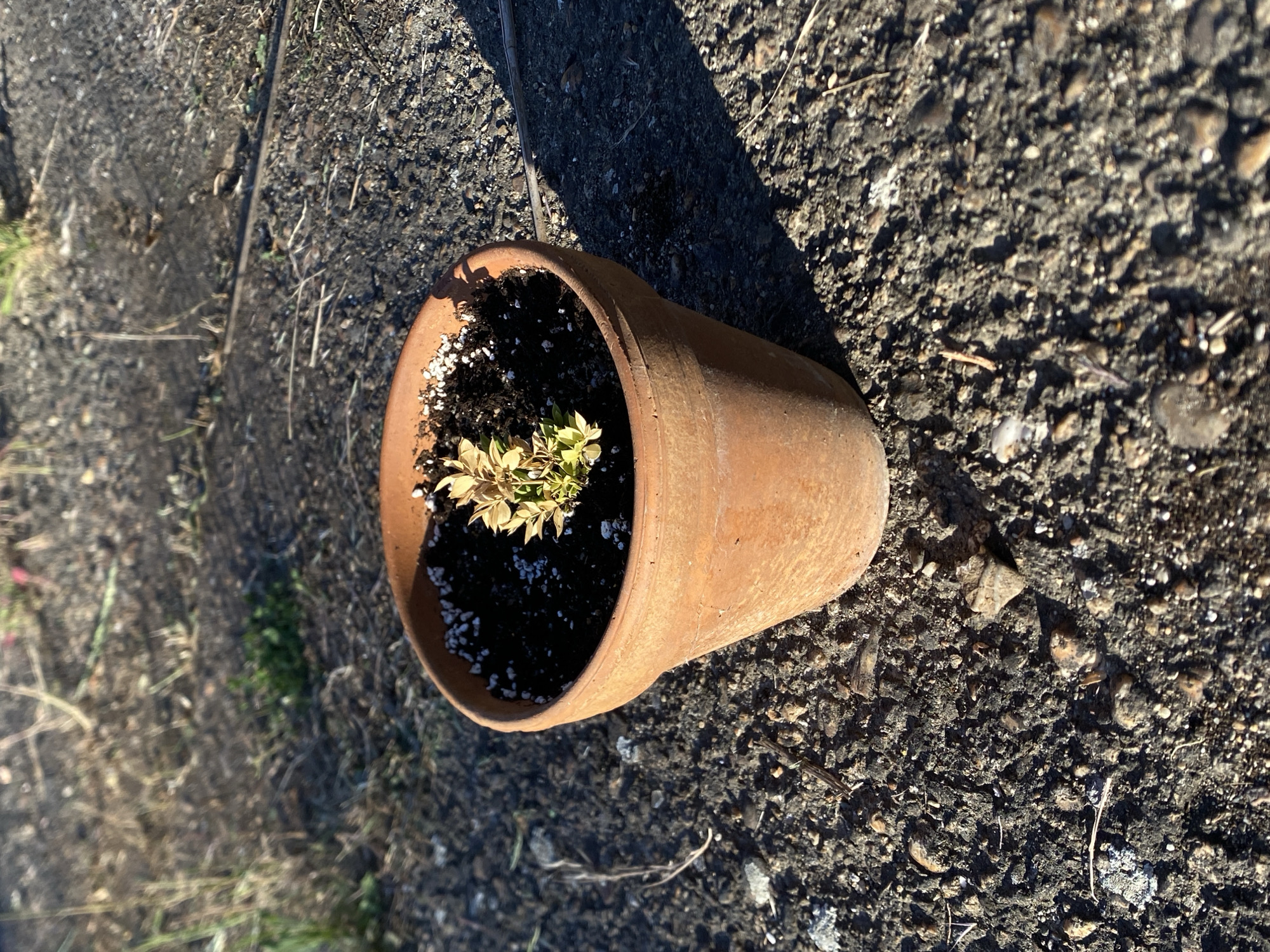 Early morning scenes documented across Barajevo municipality