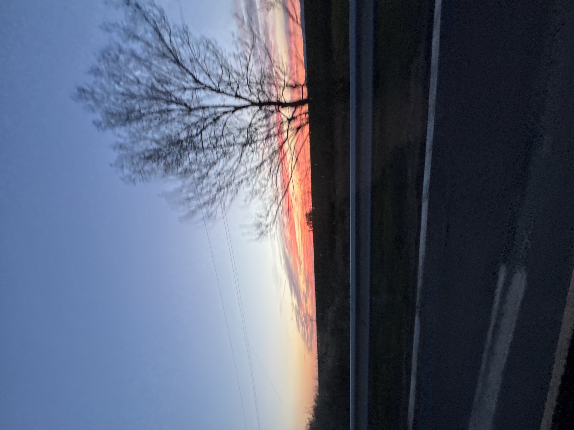 Dusk scene captured with bare tree against colorful sky in Burgas