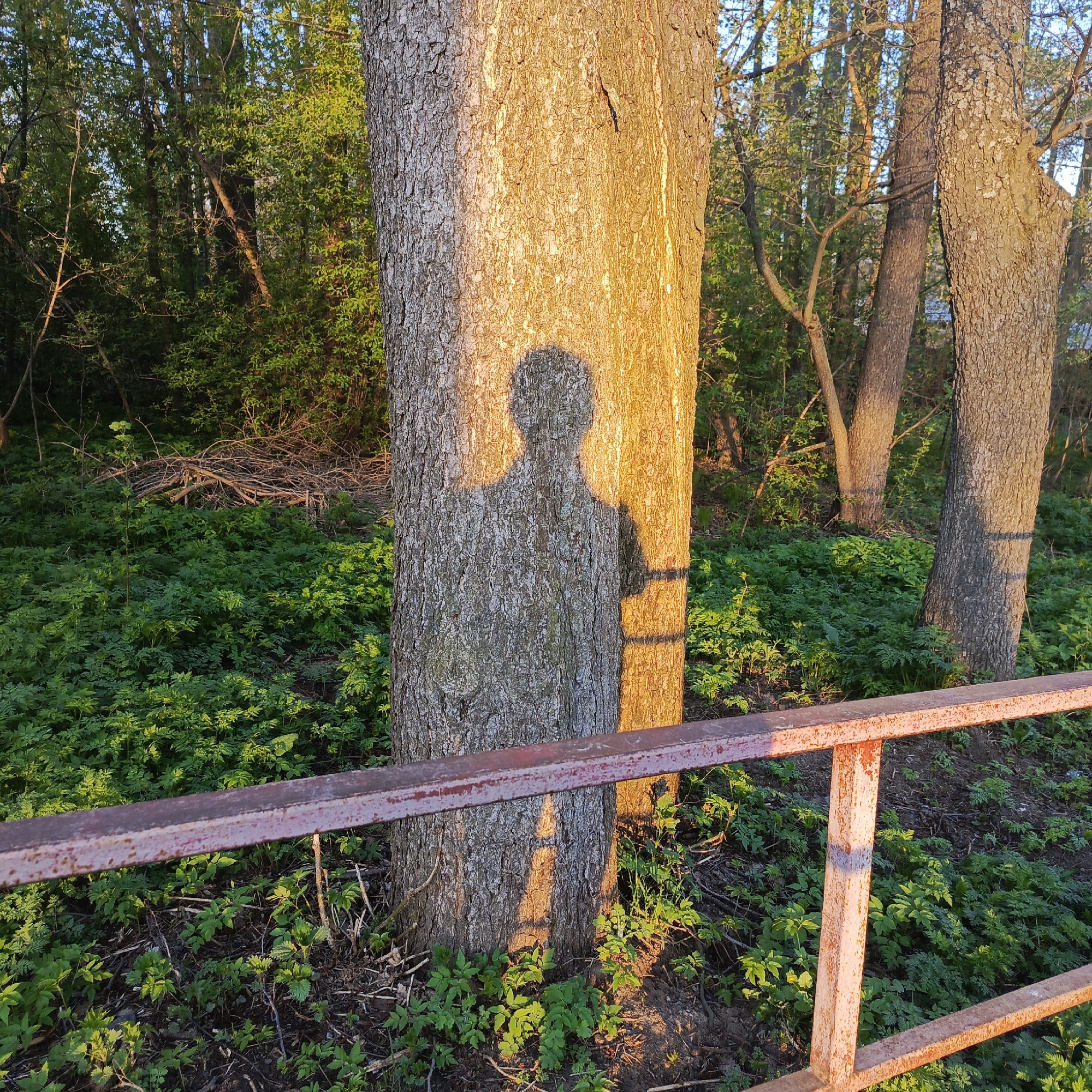 Ordinary morning moments documented across Chaikovsky, Russia