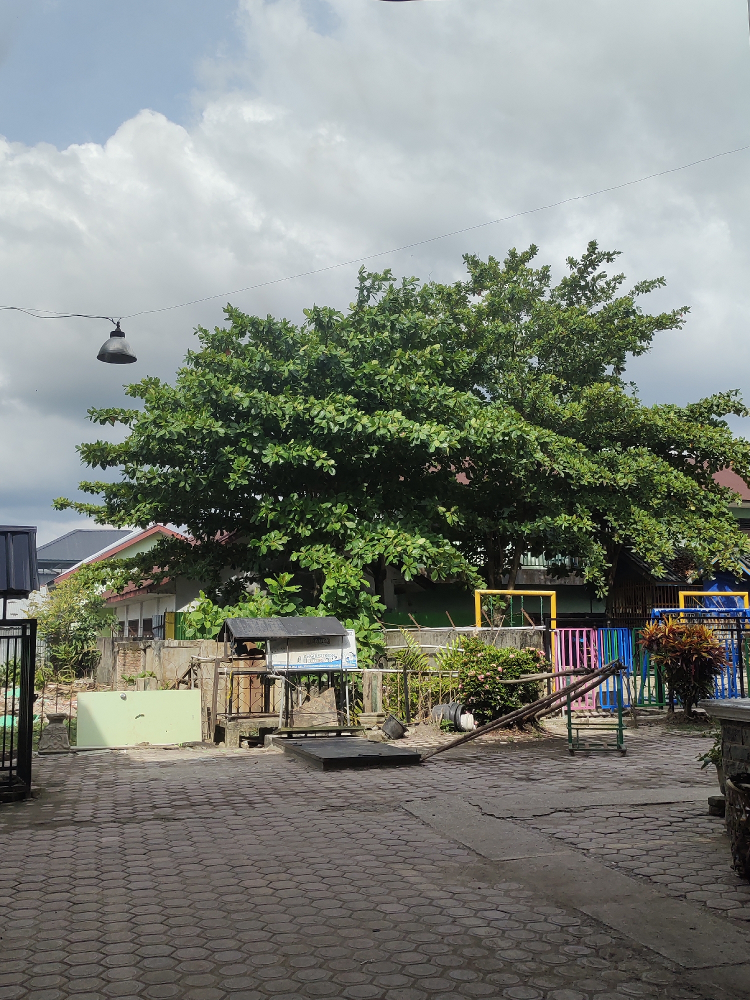 Tree and residential buildings observed in Kutalhoksukon, Indonesia