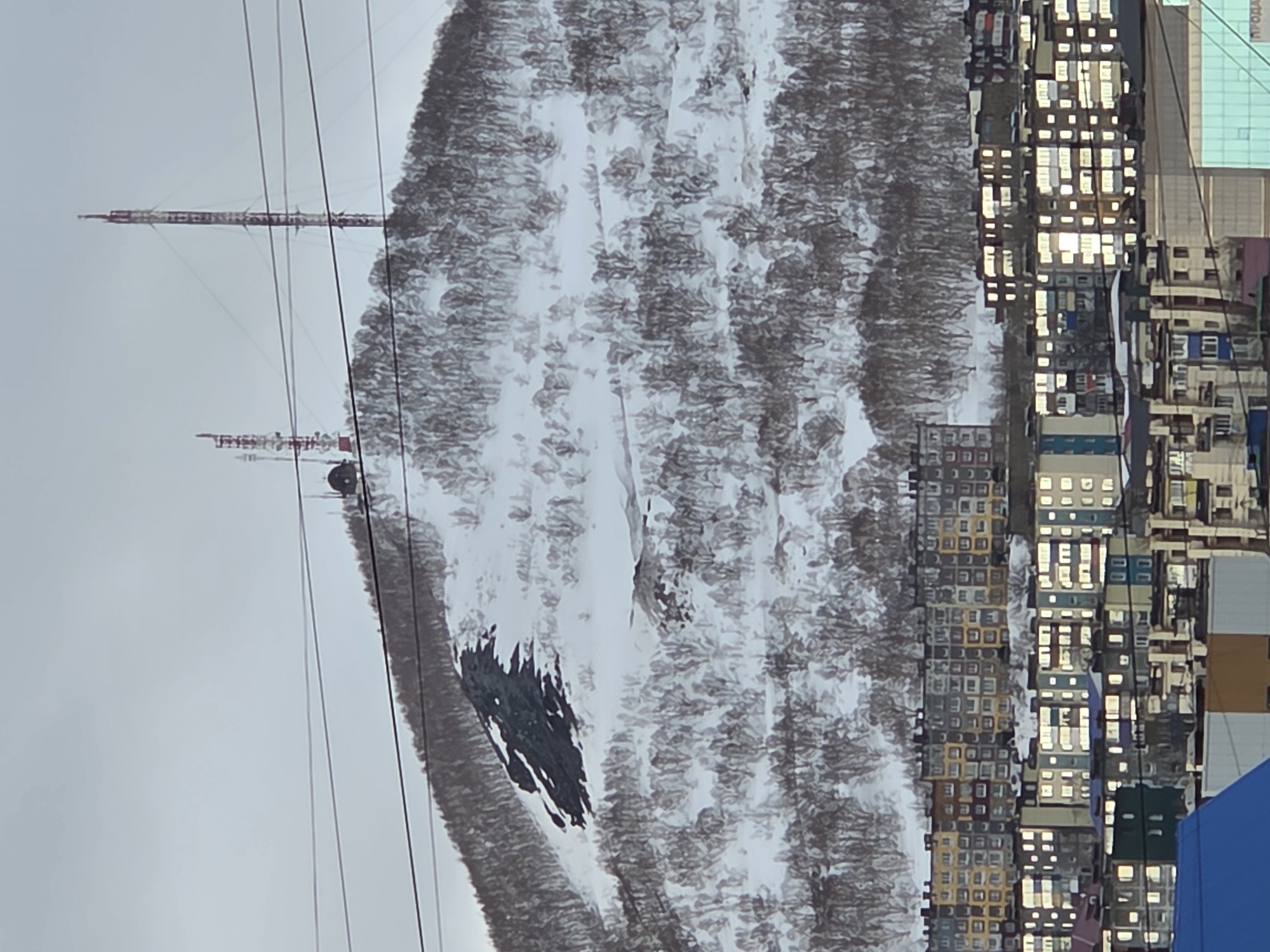 Routine urban life documented across winter cityscape