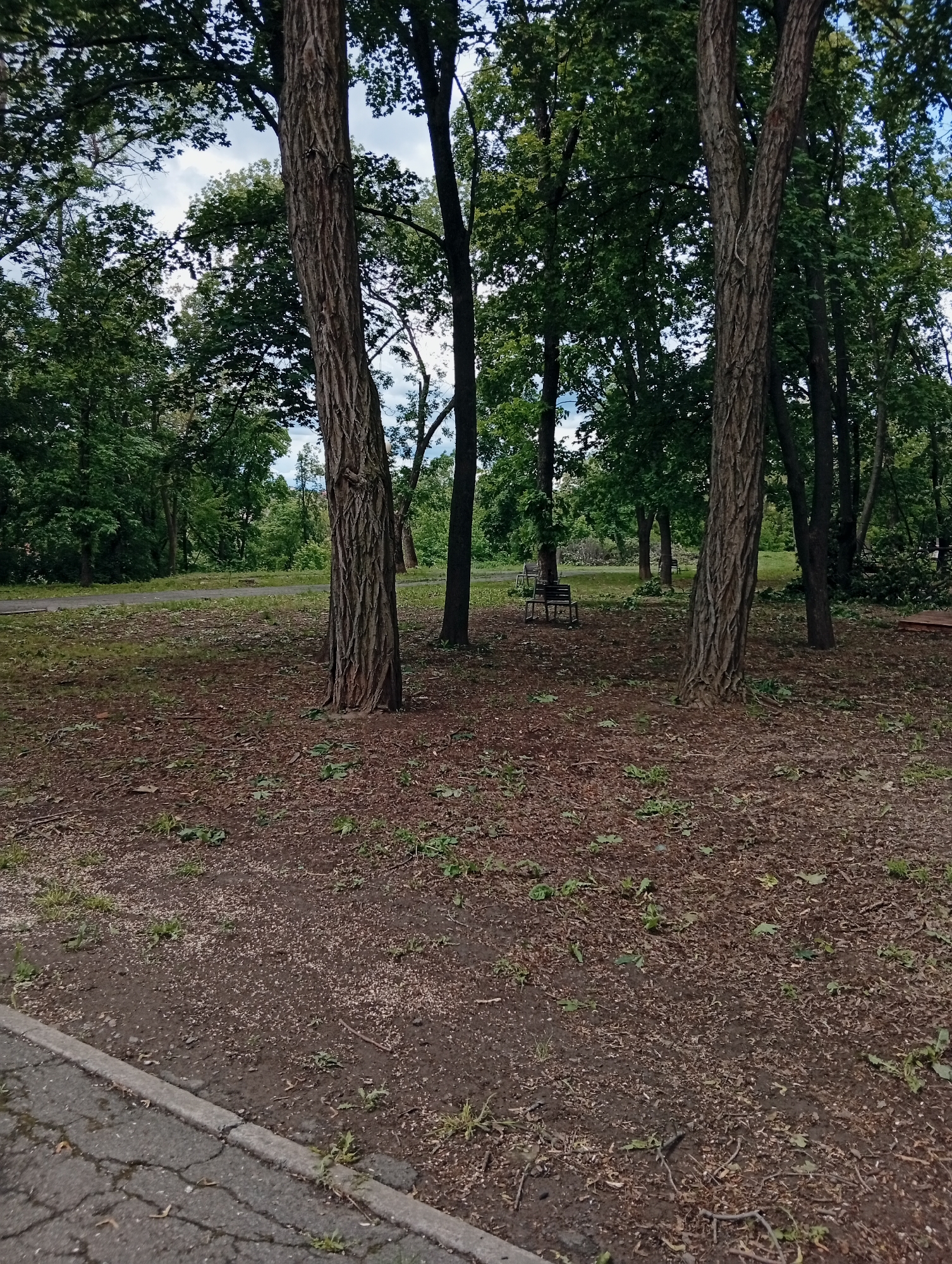 Morning scenes from parks and streets in Poltava, Ukraine