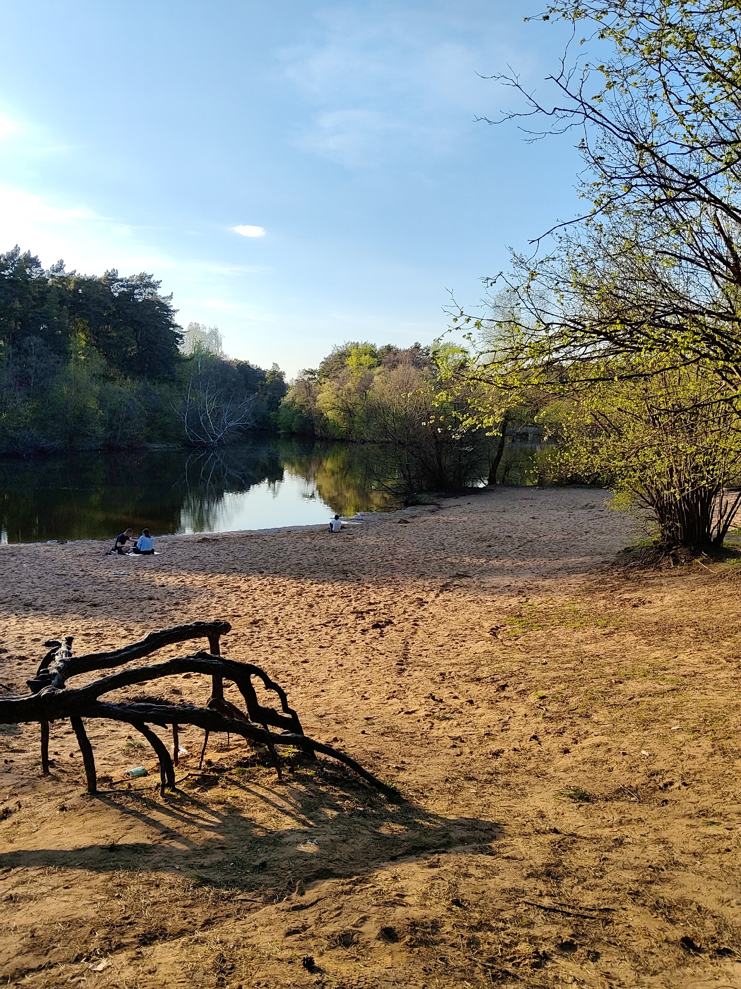 Lakeside recreation: fishing and paddleboarding captured at sandy beach