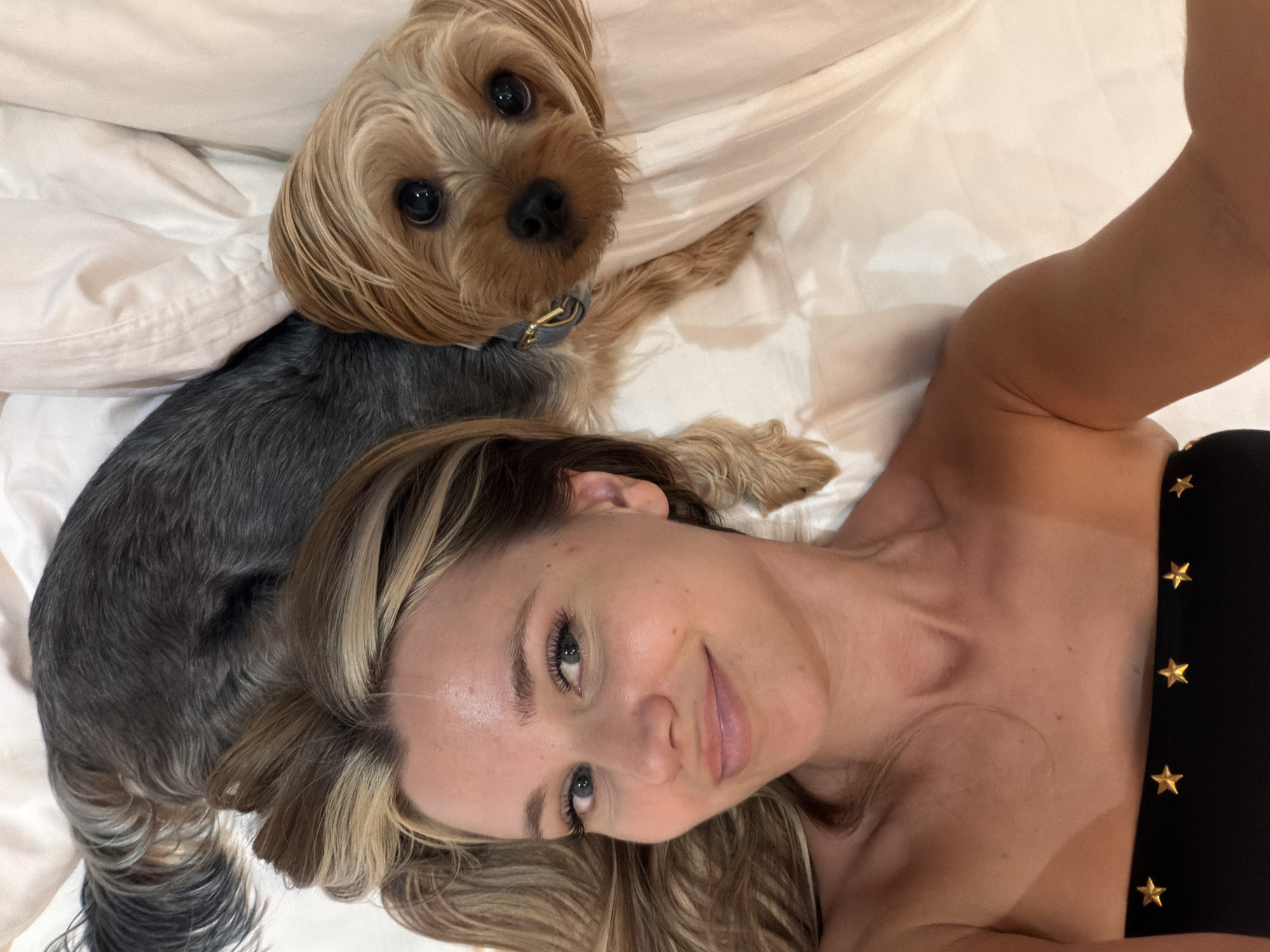Yorkshire Terrier plays and lounges in a Phuket hotel room