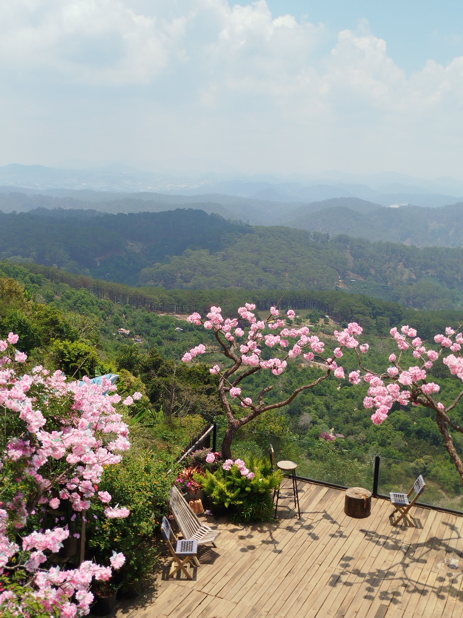 Morning documentation of Phát Chi Vietnam's scenic rural landscape