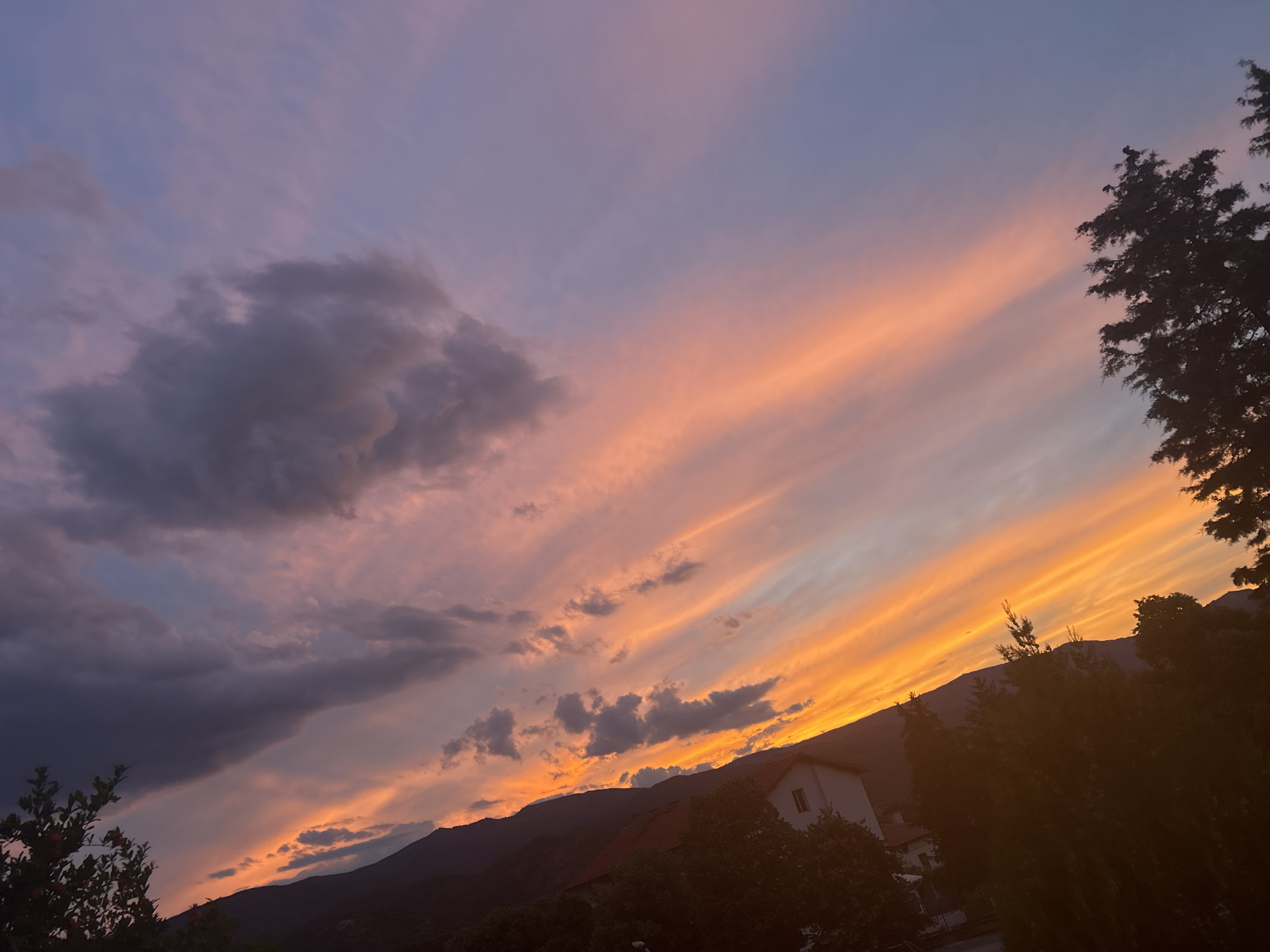 Sunset and rabbit encounter documented in town square