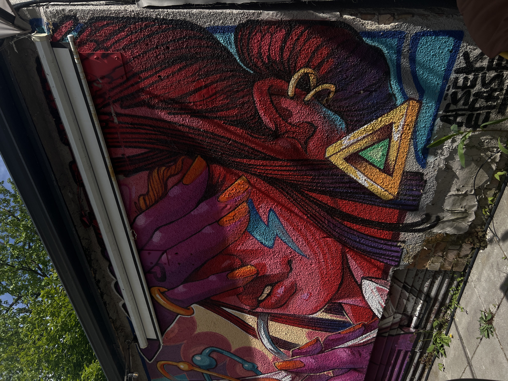 Sofia cycling event and street art documented across city