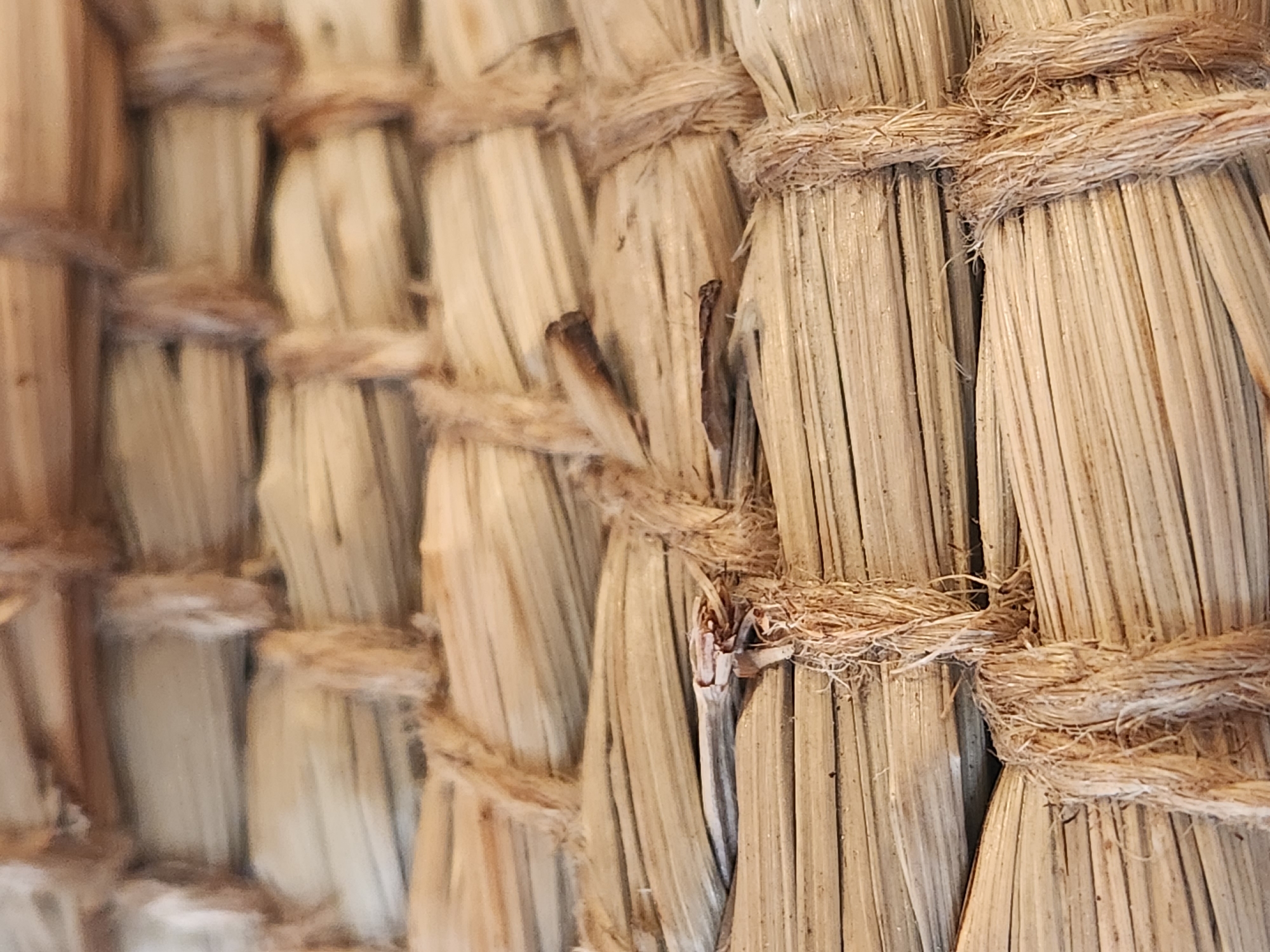 Macro textures of natural fibers, woven goods, and cowrie shells