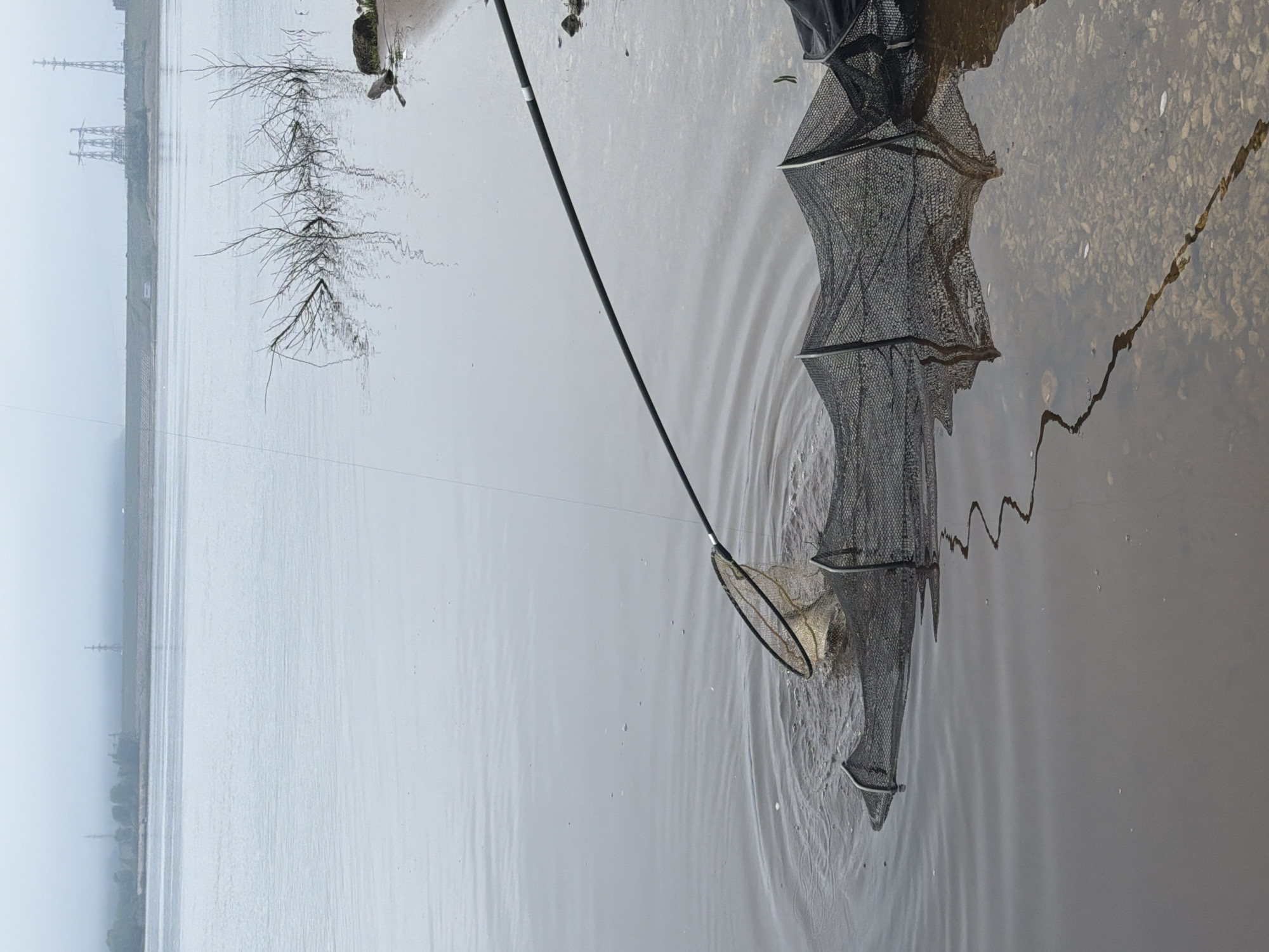 Early morning fishing activity observed on Russian river
