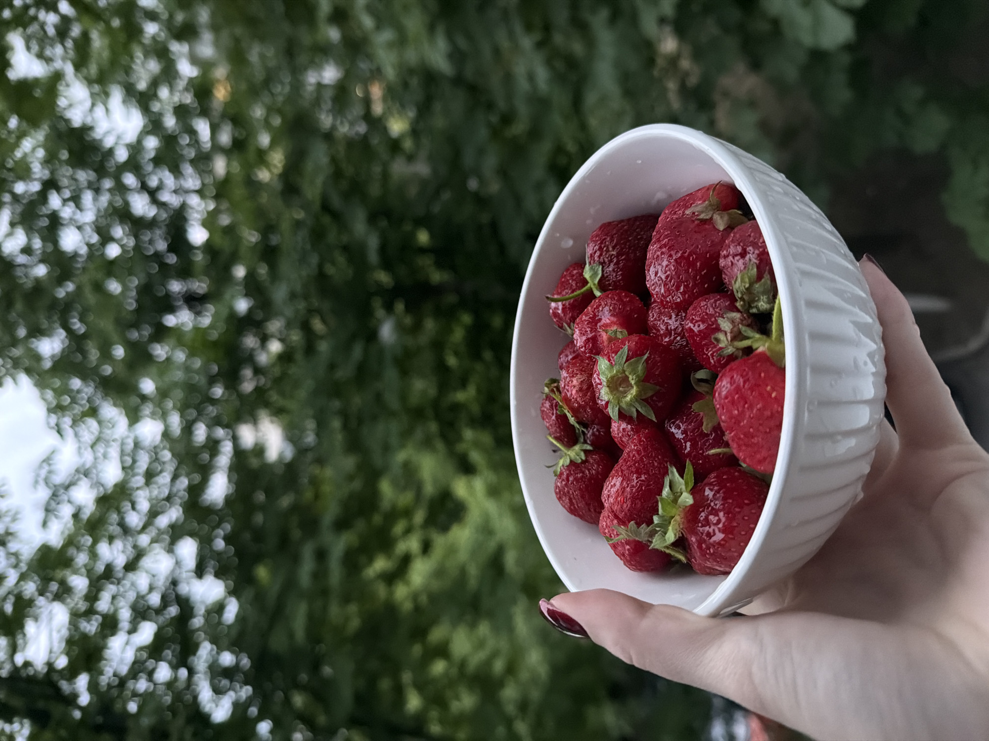 Still life arrangement captured in Cheltuitori featuring strawberries and flowers