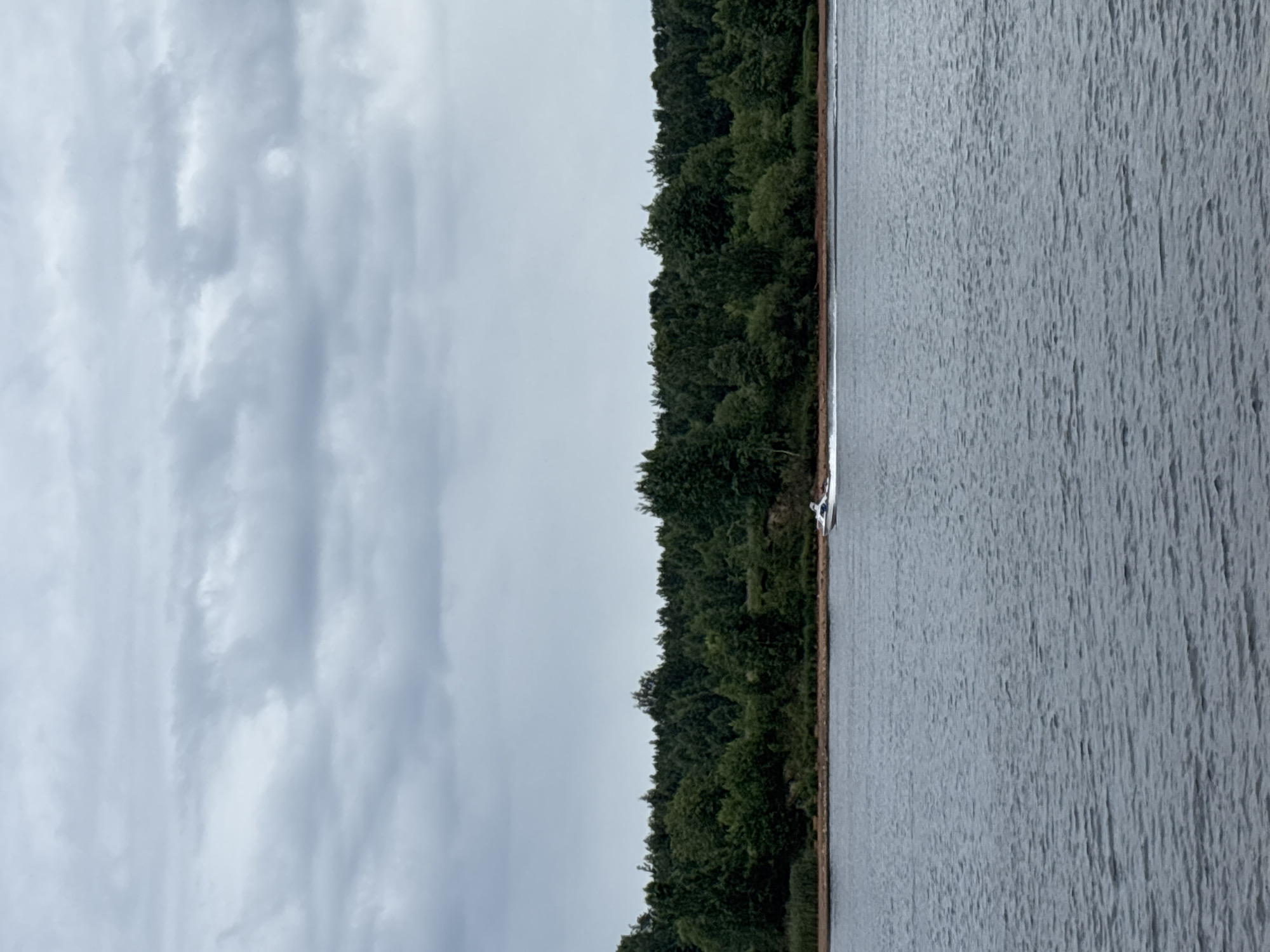 Quiet afternoon on the Neva riverbank near Dubrovka