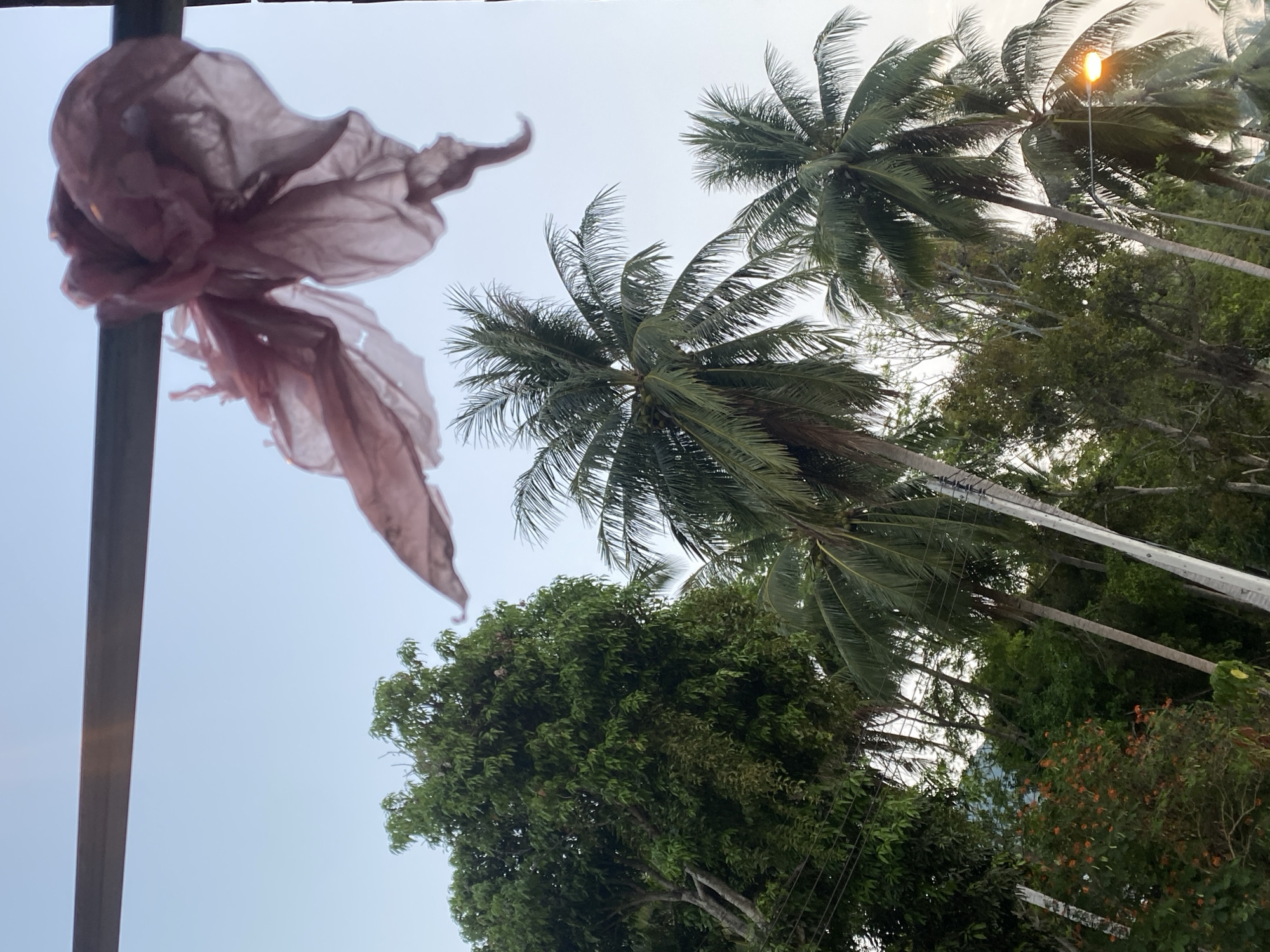 Evening moments documented in Baan Tai, Thailand
