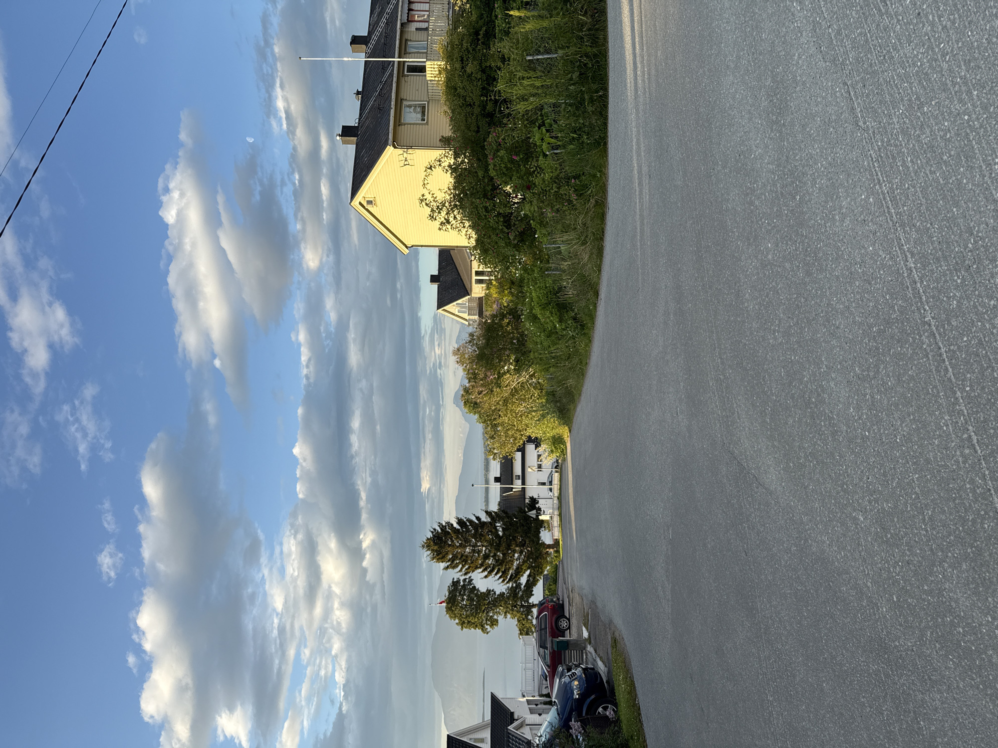 Sunset evening at home in Harstad with a calico cat