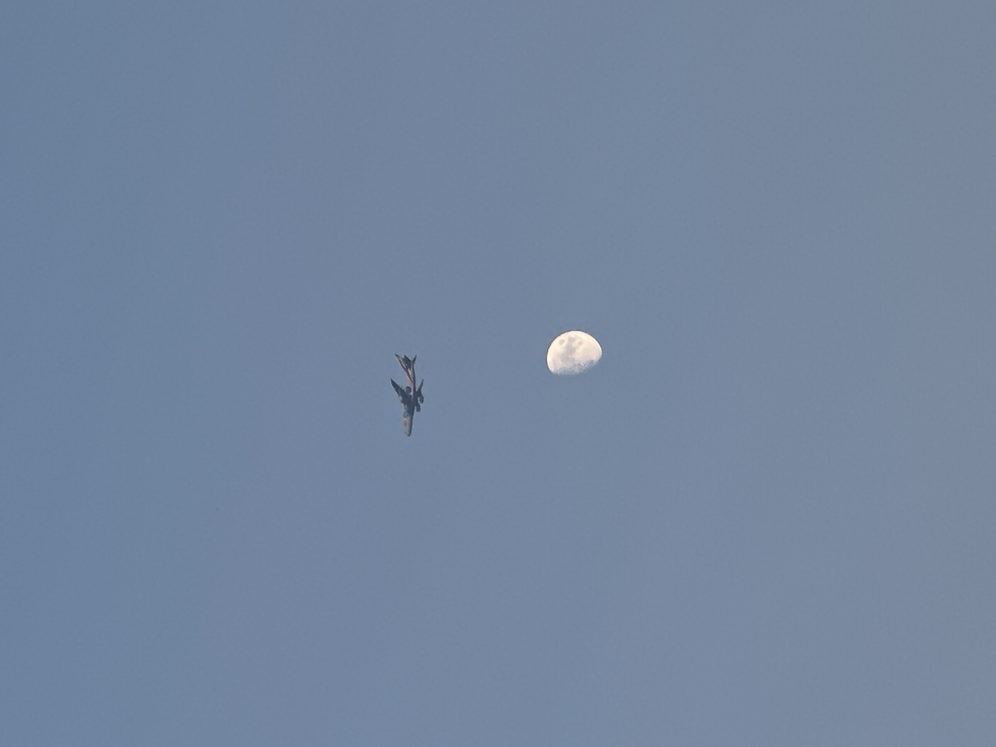 Sky full of planes, a swift, and the moon over London