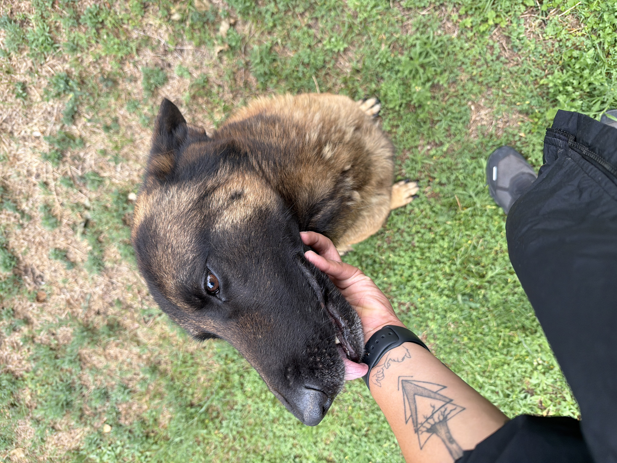 Evening with dog and Japanese takeout in Tlaxcalancingo
