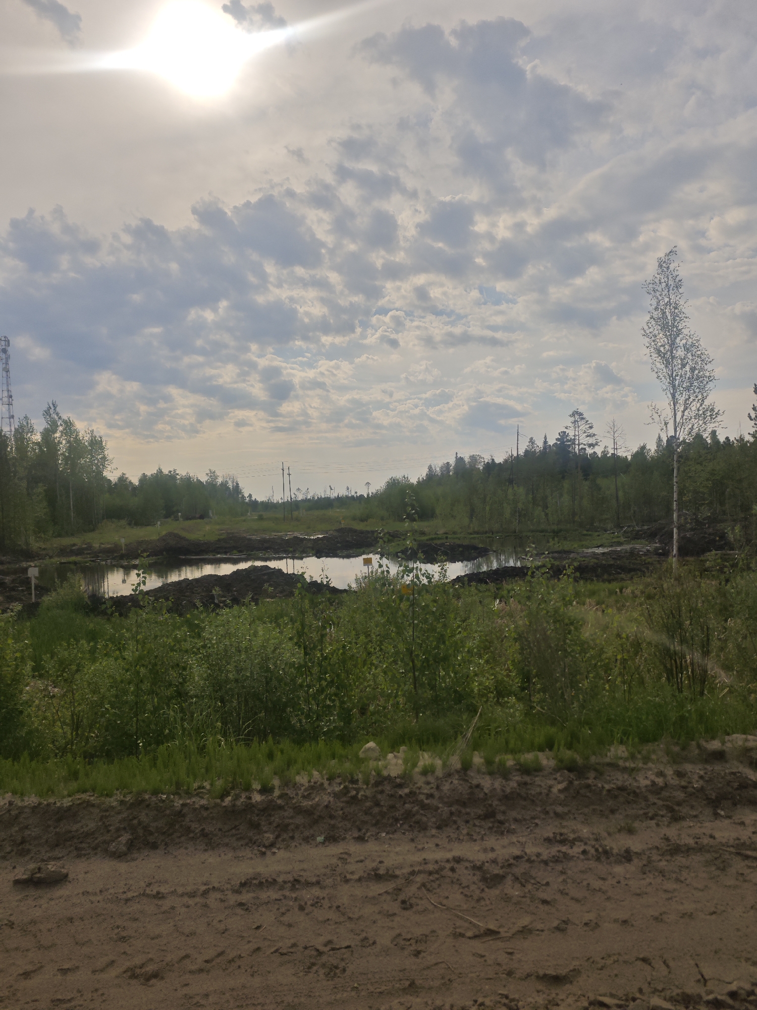 Dirt road through undeveloped landscape captured by witness