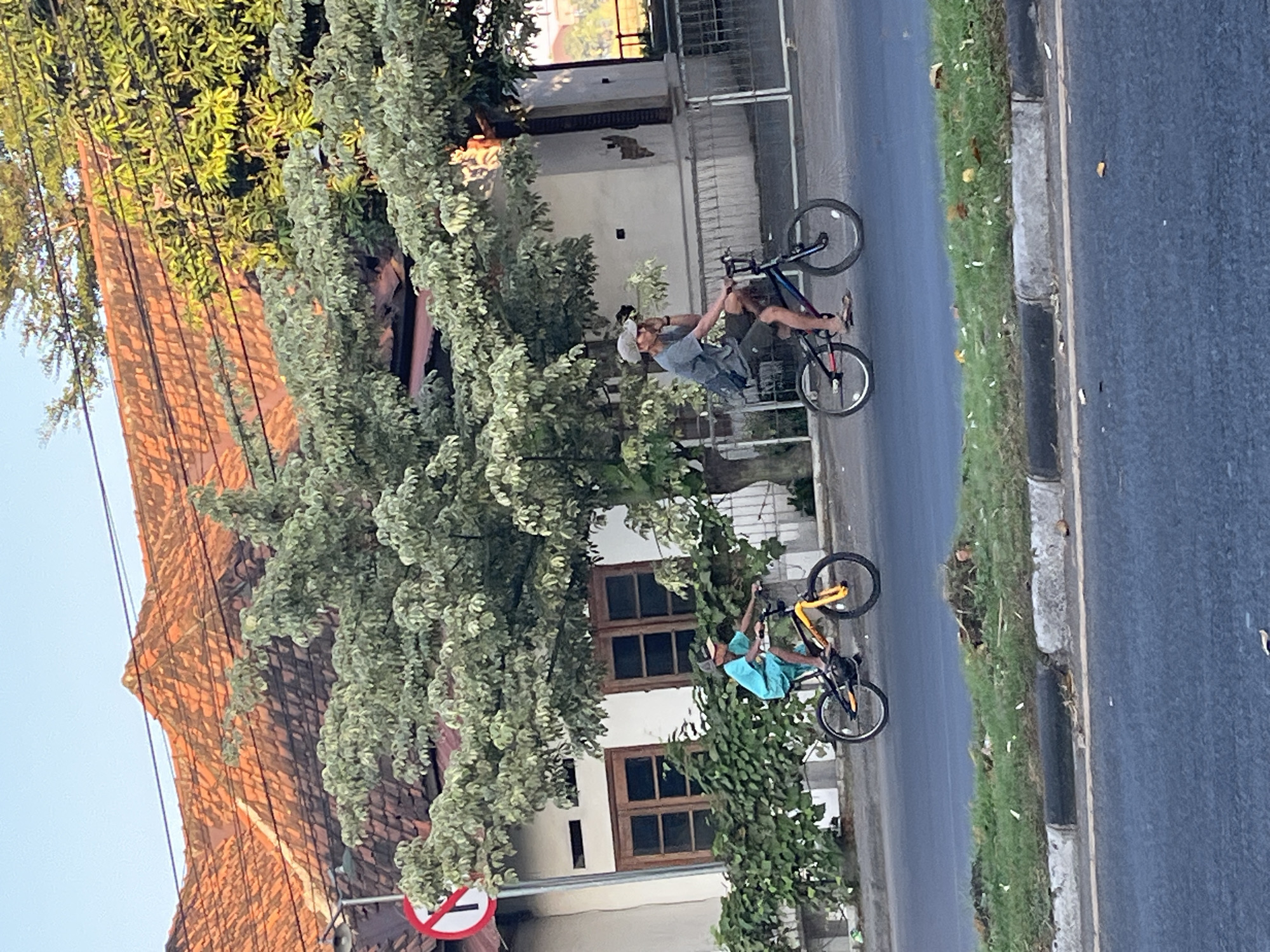 Afternoon street traffic flows through Kludan, East Java
