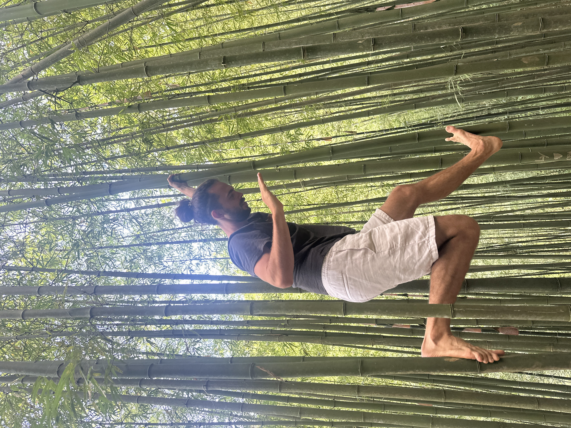 Morning bamboo forest visit captured in Ngã Ba Kim