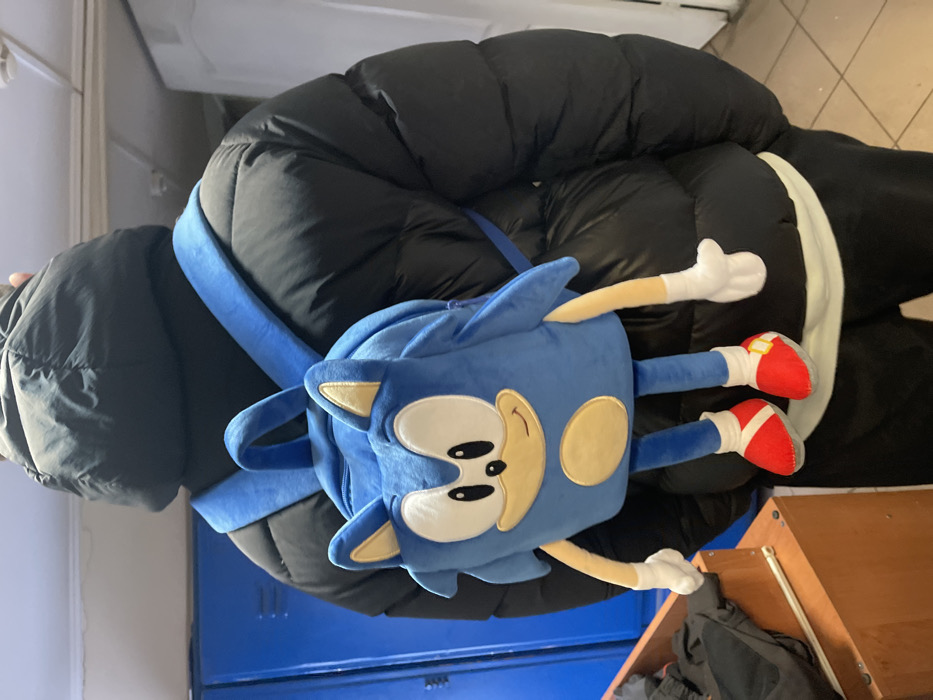 Person spotted with Sonic plush backpack in Kaliningrad