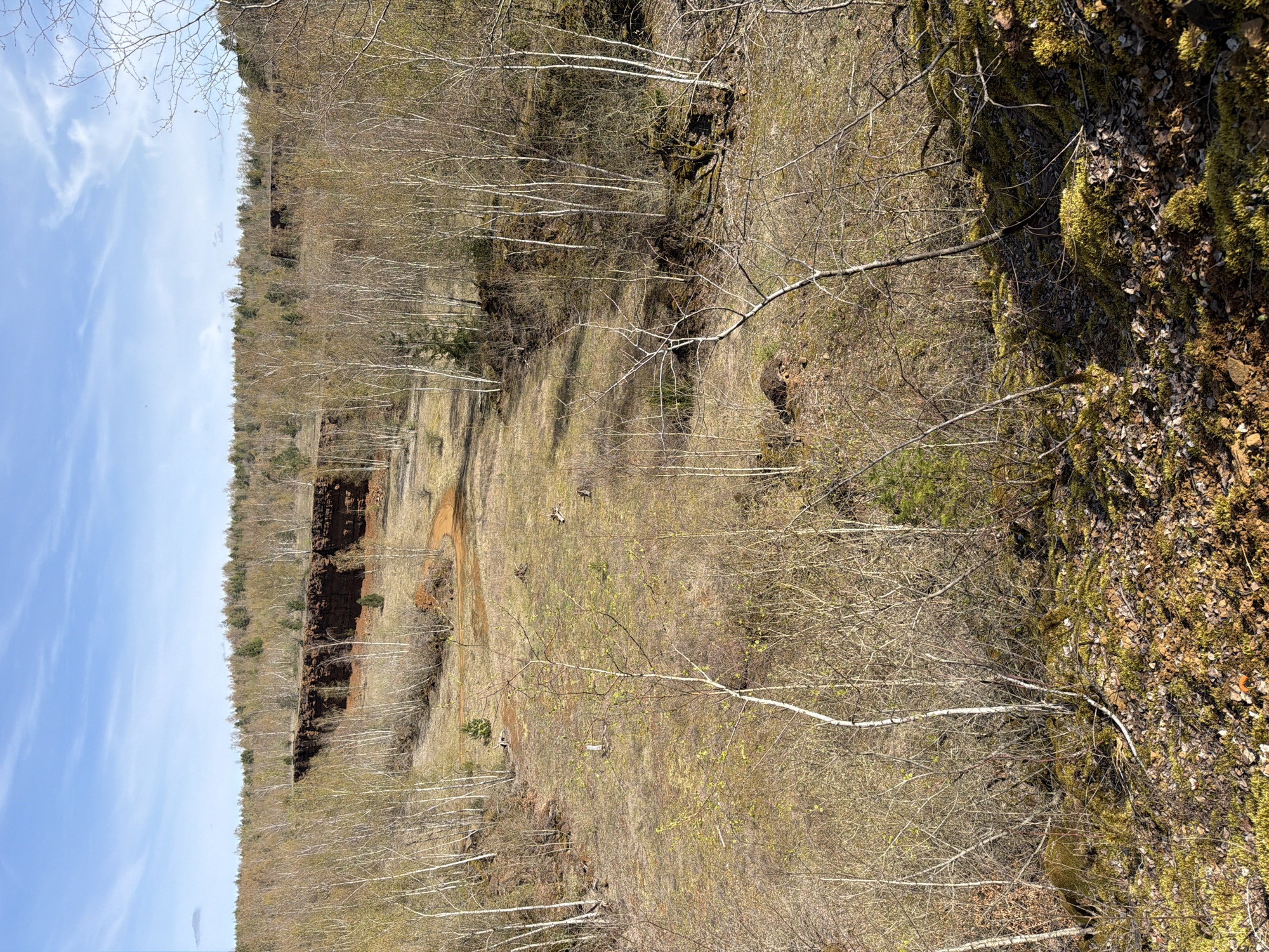Former mining site documented in Pétange, Luxembourg