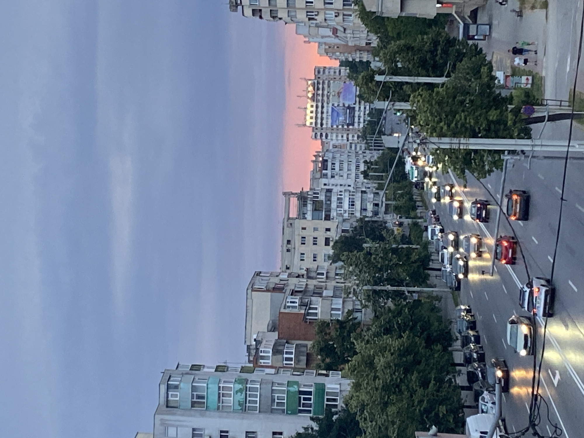 Evening streets of Iași, with traffic, rain, and a cat
