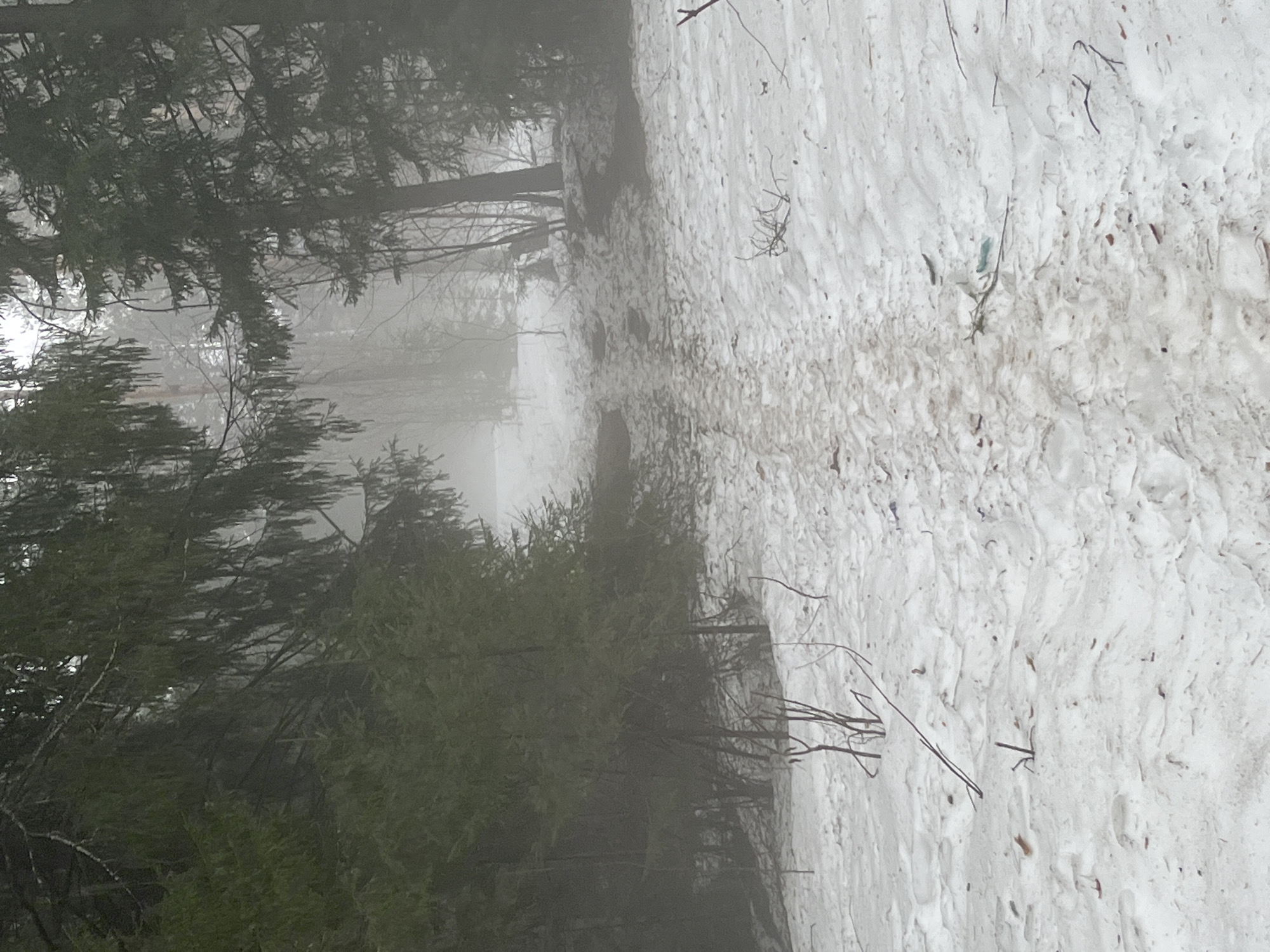 Masked figure spotted in foggy Russian forest near Марковский