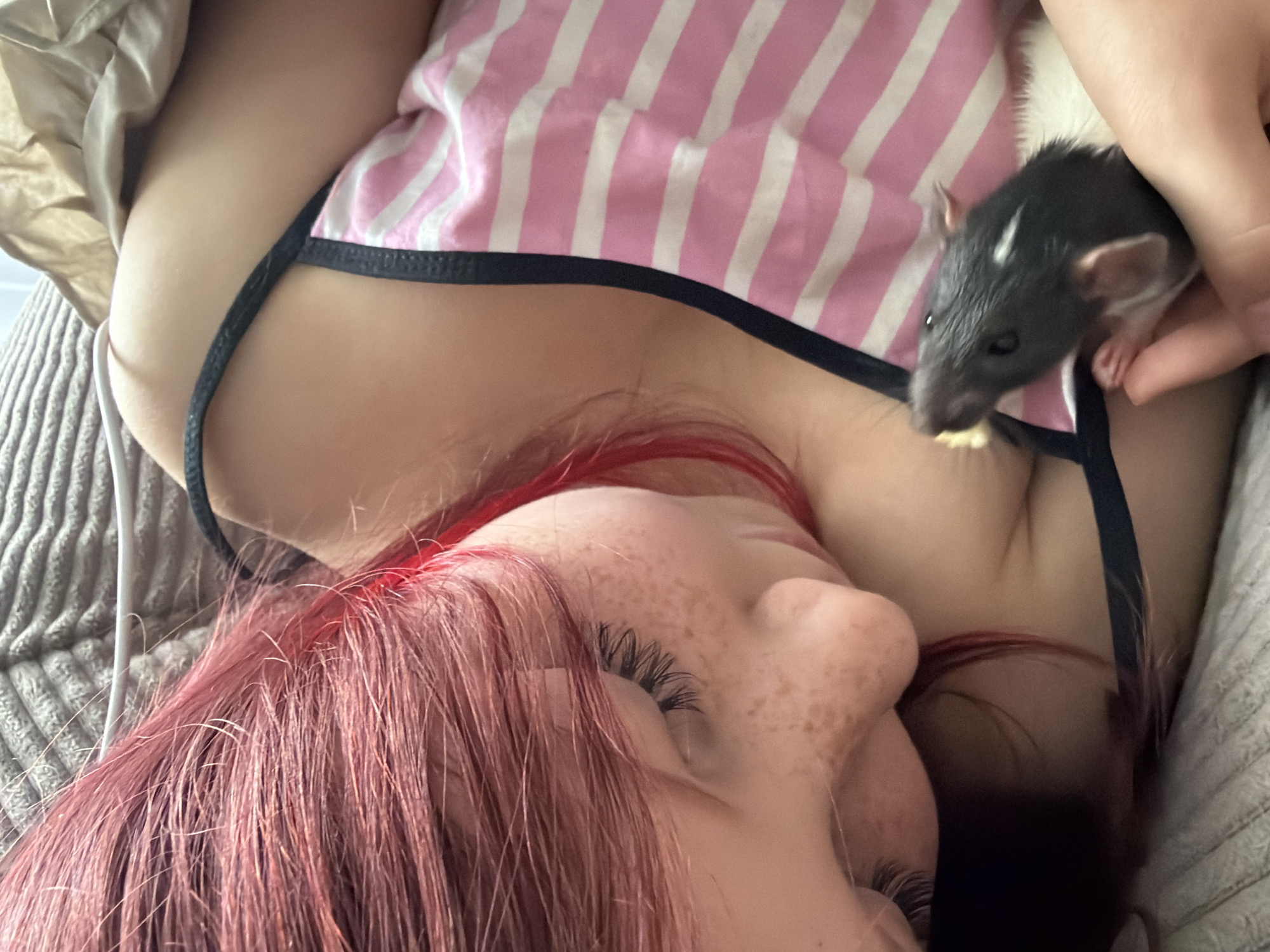 Young person feeds pet rat in Dubovaya, Russia
