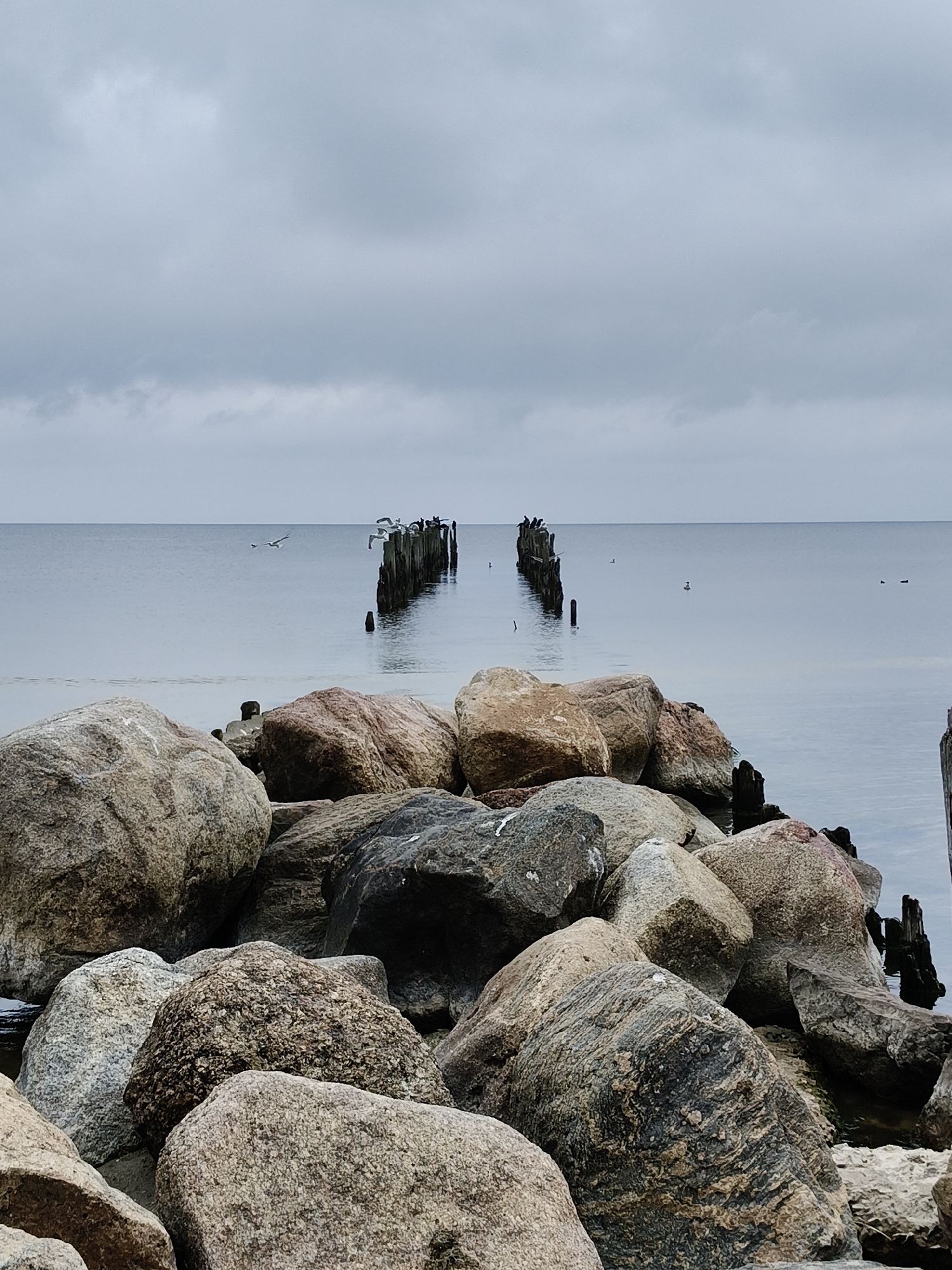 Gulf of Riga shoreline on a still, overcast morning