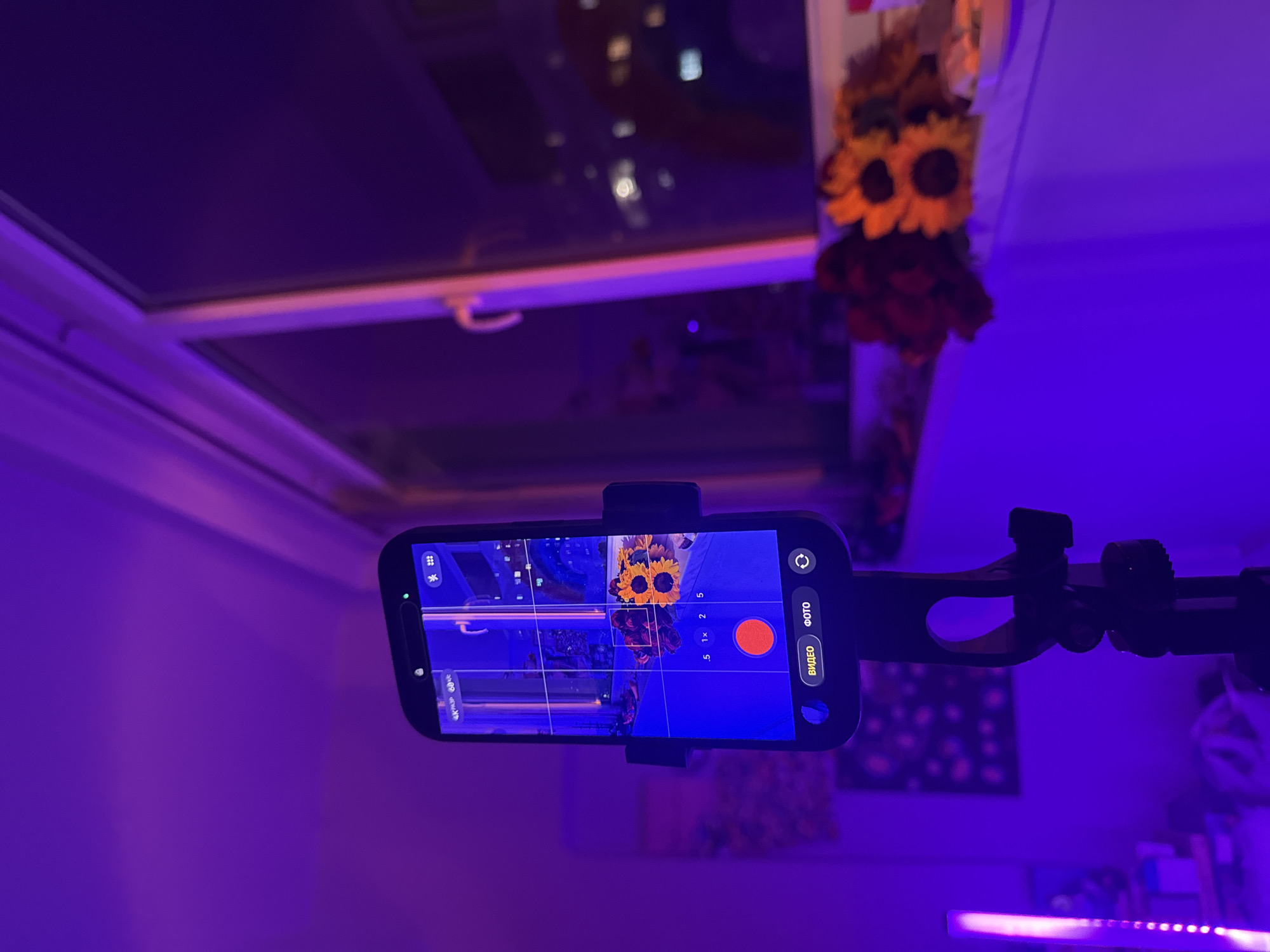 Smartphone photo session with flowers and food in Yerevan home