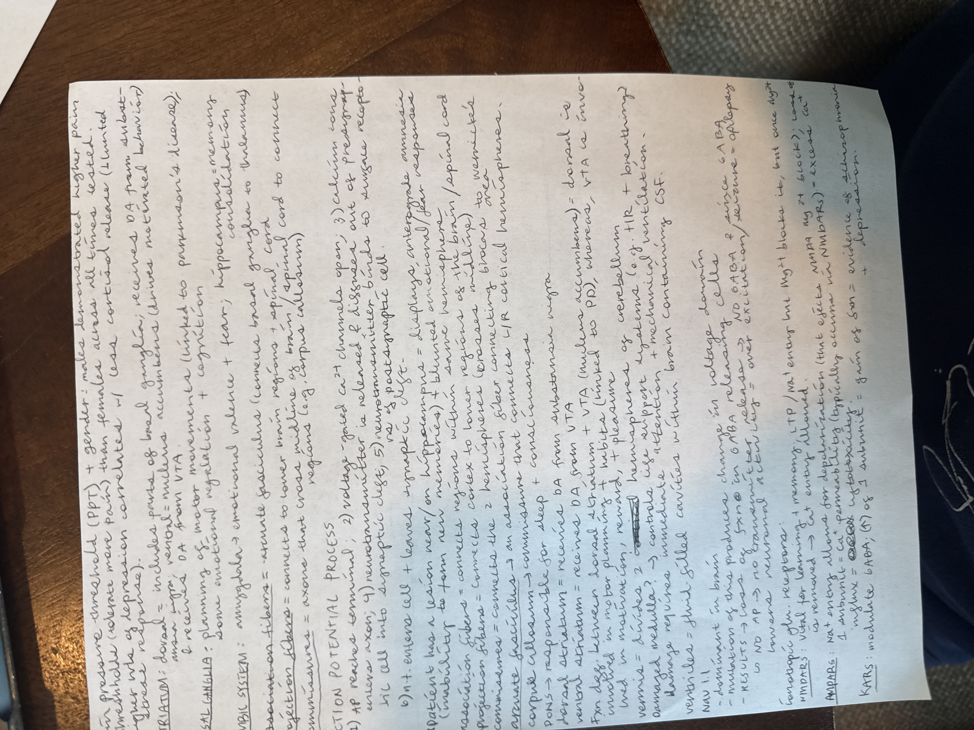 Student studies neuroscience materials with notes and laptop in Austin