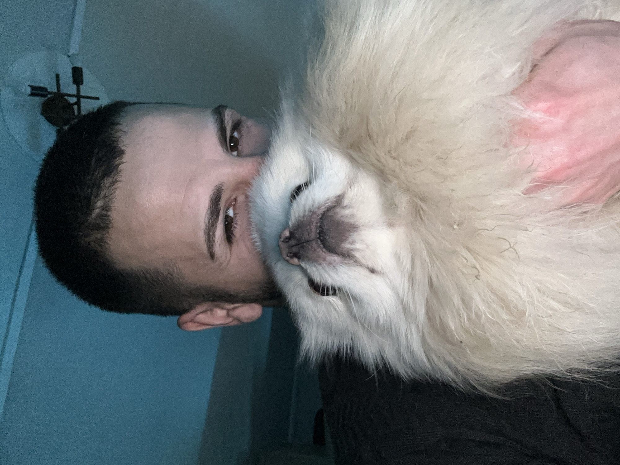 Man shares selfies with dog, asks about car repair money