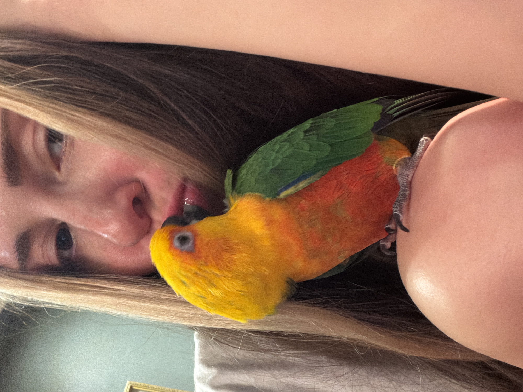 Person shares affectionate moment with vibrant parrot in Khimki