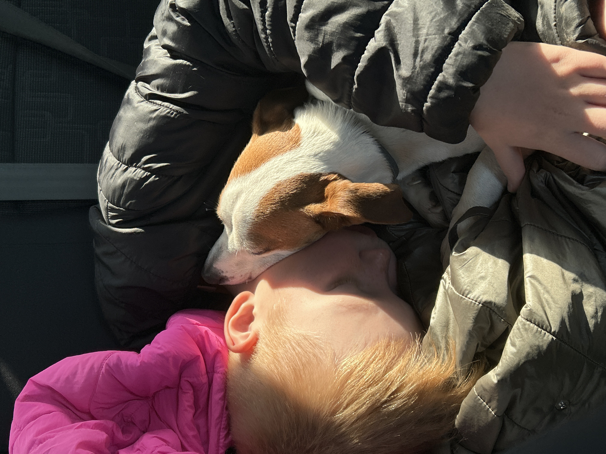 Child and dog sleep together in Russia