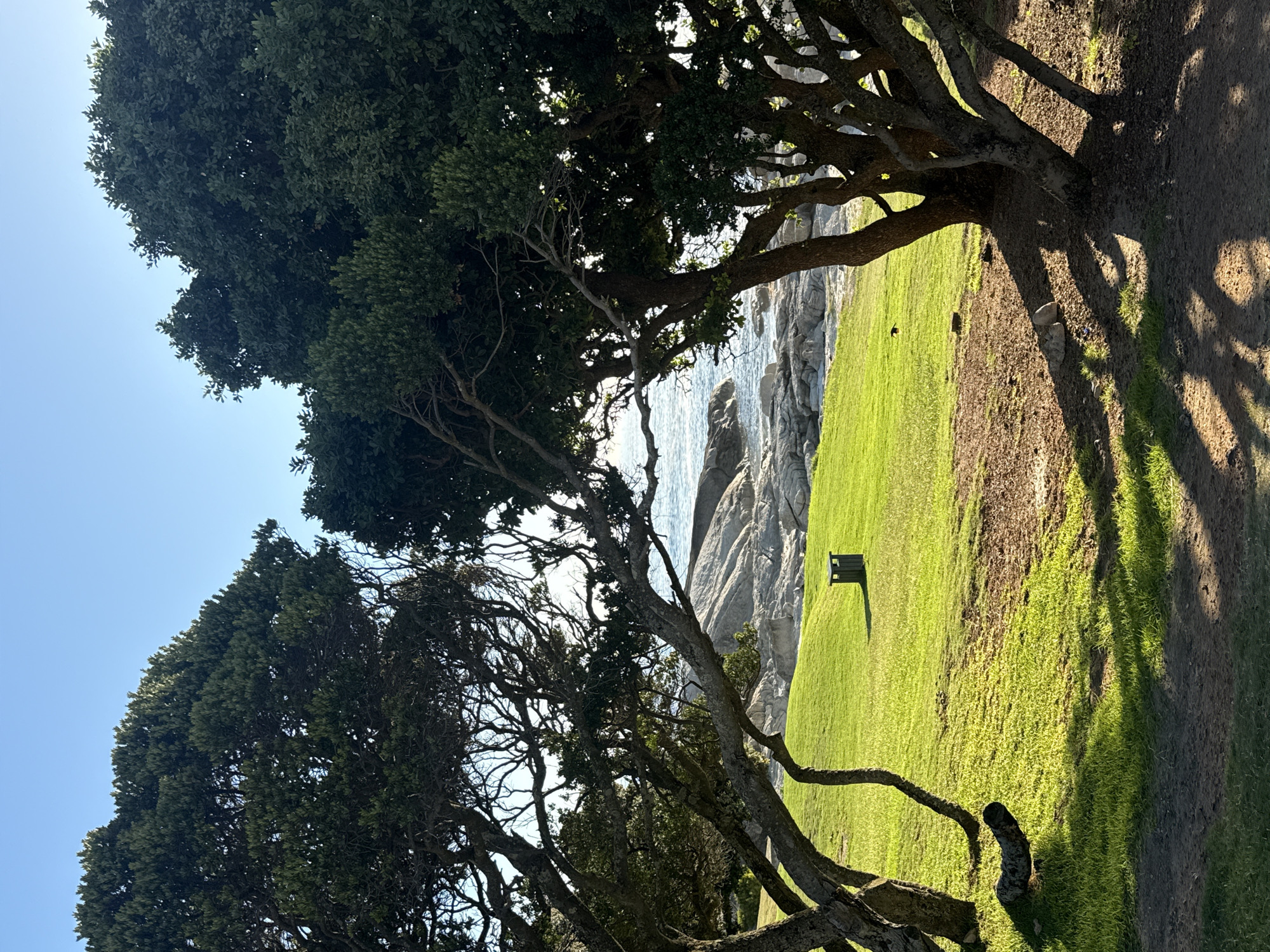 Afternoon Cape Town coastal tour documented across multiple neighborhoods