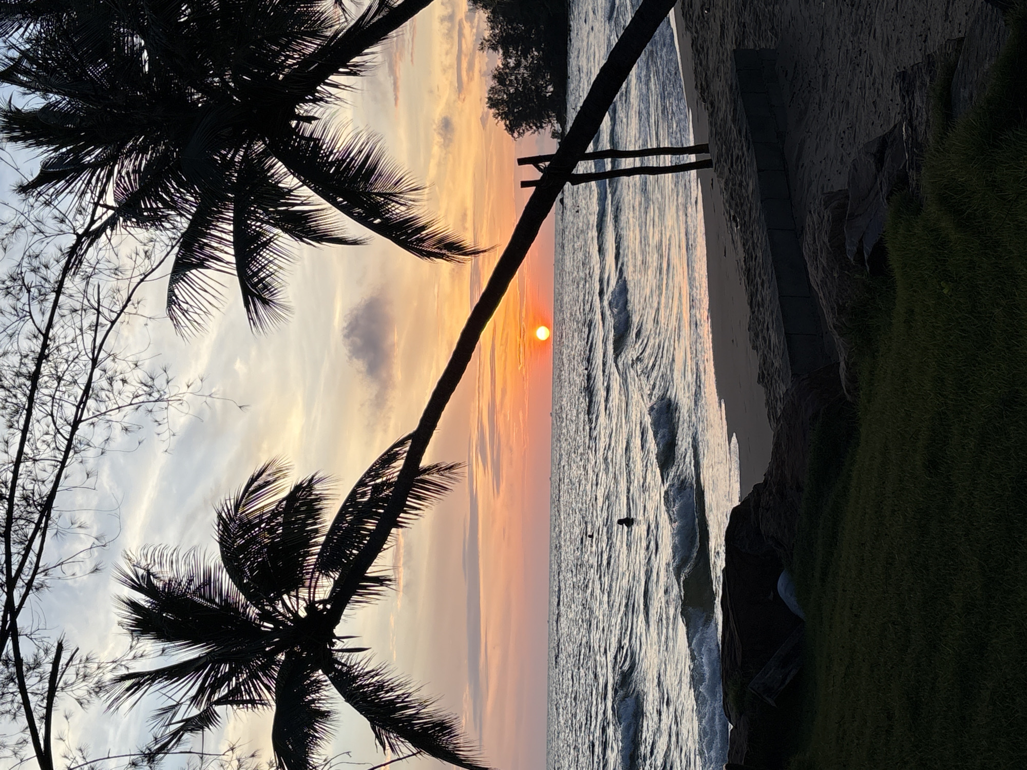 Tropical beach sunset, palm silhouettes and calm seas