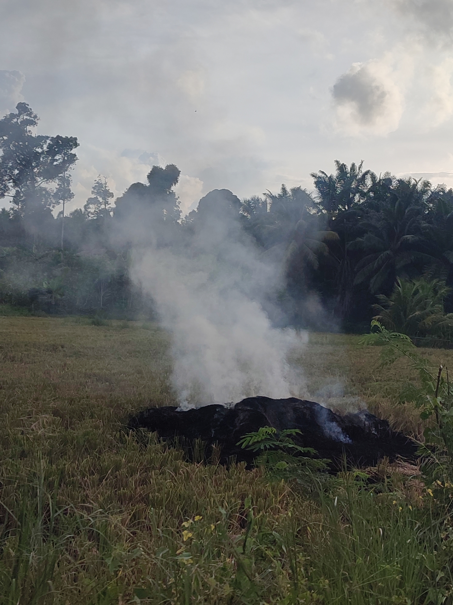 Burning debris spotted in Indonesian field emits smoke