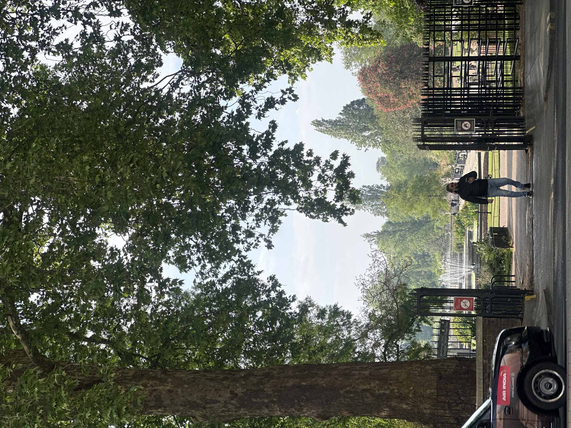 Morning scenes captured across central London include park, taxi, architecture