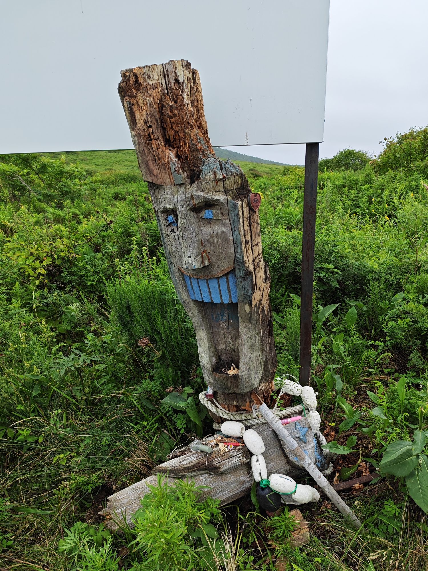 Carved totem and wildflowers on a remote Russian island